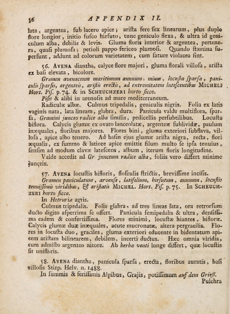 lata , argentea, fub lacero apice , arifta fere fex linearum, plus duplo flore longior, initio fufco hirfuto, tunc geniculo flexa, & ultra id geni¬ culum alba, debilis & levis. Gluma floris interior & argentea, pertene- ra, quali plumofa; petioli pappo fericeo piumofi. Quando flamina fu- perfunt >. addunt ad colorum varietatem , cum fature violacea fint. *\6. Avena diantba, calyce flore majori, gluma florali villofa, arifta ex bafi elevata , bicolore. Gramen avenaceum maritimum annuum ^ minus, locuftu fparfa T pani- culisfparJis, argenteis, arijiis erectis, ad extremitatem lutescentibus MlCHELf Mori. Pif. p.74. & in Scheuchzeri horto ficco. Pifirs & alibi in arenofis ad mare mediterraneum. Radiculae albae. Culmus tripedalis, geniculis nigris. Folia ex latis vaginis nata, lata lineam, glabra, dura. Panicula valde multiflora, fpar- ia, Gramini junceo radice alba fimilis, pedicellis perfubtilibus, Locufta biflora. Calycis glumae ex ovato lanceolatae, argenteae fublividse, paulum inaequales , floribus majores. Flores bini, gluma exteriori fubflava, vil¬ lofa , apice albo tenero. Ad bafin ejus glumae arifta nigra, reda, flori aequalis, ex fummo & latiore apice emittit filum multo fe ipfa tenuius fenfim ad modum clavae Jatefcens , album , iterum floris longitudine. Valde accedit ad Gr Junceum, radice alba* foliis vero differt minime junceis*. f7. Avena locuftis bifloris, ffofculis ffridlls, breviffime incilis. Gramen pani cubitum, arvenfe, latifolium, hirfutmn , annuum, locuftis tenuijjimis viridibus, & ariftatis MlCHEL. Hort. Pif, p. 75. In SCHEUCH- zeki horto ficco. In Hetruriit agris. Culmus tripedalis. Folia glabra-» ad tres lineas lata, ora retrorfiim ducto digito afperrima fe offert. Panicula femipedalis & ultra, denfiffi- raa eadem Sc confertiffima. Flores minimi, locuftae hiantes , biflora. Calycis glumae duae inaequales, acute mucronatae, altera pergracilis. Flo¬ res in locufta duo, graciles, gluma exteriori educente in bidentatum api¬ cem ariftam bilinearem, debilem, incerti dudius. Haec omnia viridia ,, cum admifto argenteo nitore; Ab herba venti longe differt, quae locuftis fit unifloris. 58- Avena diantba, panicula fparfa, eredta, floribus auratis, bafl filiolis Stlrp. Helv. 11. 1488- In fummis & feriifimis Alpibus, Grajis, potiffimum auf dem Griefi. \ c . Pulchra