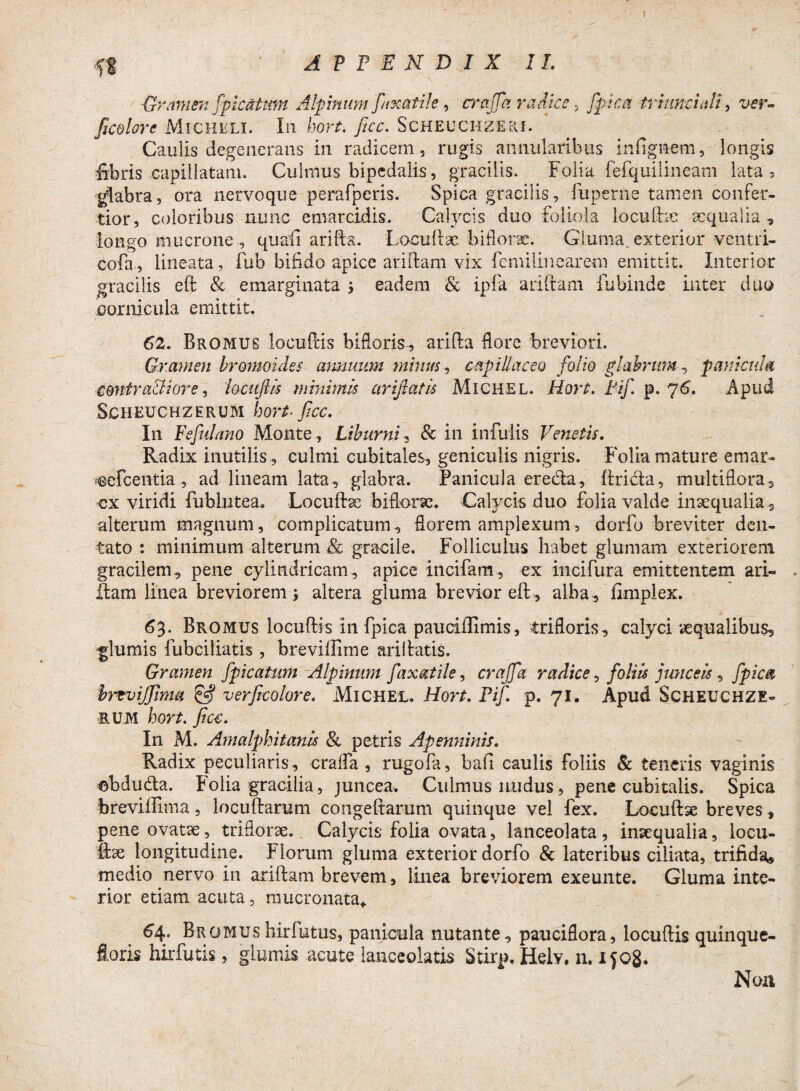 Gramen [picatum Alpinum fimatile, craffa radice , fpica triunci ali, uer- ficotore MiCHliLi. Ia hort. ficc. Scheuchzeri. Caulis degenerans in radicem, rugis annularibus infignem, longis libris capillatam. Culmus bipedalis, gracilis. Folia fefquilineam lata 5 glabra, ora iiervoque perafperis. Spica gracilis, fuperne tamen confer¬ tior, coloribus nunc emarcidis. Calycis duo foliola loculbe aequalia, longo mucrone , quafi arifta. Locuftae biflorae. Gluma, exterior ventri- cofa, lineata, fub bifido apice ariftam vix femilinearem emittit. Interior gracilis eft & emarginata j eadem & ipfa ariftam fubinde inter duo cornicula emittit. 62. Bromus locuftis bifloris, arifta flore breviori. Gramen bromoides anmmm minus, capillaceo folio glabrum, panicula contradi ore, io cuji Is minimis cirifiatis Michel. Hort. Fif p. 7 6. Apud SCHEUCHZERUM hort- filCC. In Fsfulano Monte , Liburni, & in infulis Venetis. Radix inutilis , culmi cubitales, geniculis nigris. Folia mature emar- eercentia , ad lineam lata, glabra. Panicula ereda, (fricta, multiflora, cx viridi fubliatea. Locuftae biflone. Calycis duo folia valde inaequalia, alterum magnum, complicatum, florem amplexum, dorfo breviter den¬ tato : minimum alterum & gracile. Folliculus habet glumam exteriorem gracilem, pene cylindricam, apice incifam, ex incifura emittentem ari¬ dam linea breviorem; altera gluma brevior eft, alba , fimplex. 63. Bromus locuftis in fpica pauciftimis, trifloris, calyci aequalibus, glumis fubciliatis, breviffime ariftatis. Gramen fpicatum Alpinum fax at ile, craffa radice , foliis junceis, fpica brtvijfima & verficolore. Michel. Hort. Fif p. 71. Apud Scheuchze- rum hort. ficc. In M. Amalphitanis & petris Apennmis. Radix peculiaris, crafla , rugofa, bafi caulis foliis & teneris vaginis ebduda. Folia gracilia, juncea* Culmus nudus, pene cubitalis. Spica breviftima , locuftarum congeftarum quinque vel fex. Locuftse breves, pene ovatae, triflorae. Calycis folia ovata, lanceolata , inaequalia, locu- ftae longitudine. Florum gluma exterior dorfo & lateribus ciliata, trifida, medio nervo in ariftam brevem, linea breviorem exeunte. Gluma inte¬ rior etiam acuta, mucronata* 64. Bromus hirfutus, panicula nutante, pauciflora, locuftis quinque- floris hirfutis, glumis acute lanceoiatis Stirp. Helv. n. ifo8. Non