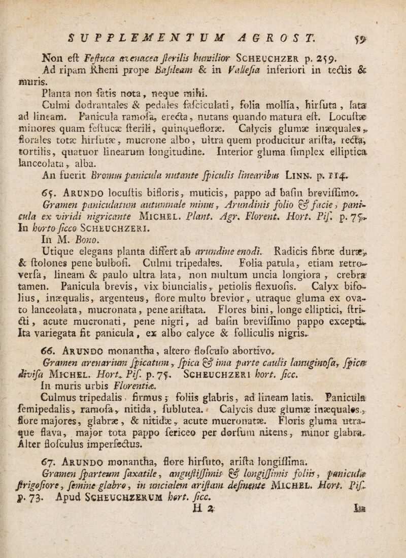 t SUPPLEMENTUM A G R 0 S T. yj Non eft Fefiuca azenacea fi er ilis humilior Scheuchzer p. 259. Ad ripam Rheni prope Bajdeam Sc in Valiefia inferiori in tedis & muris. Planta non fatis nota, neque mihi. Culmi dodrantales & pedales fafciculati, folia mollia, hirfuta , fata' ad lineam. Panicula ramofa, ereda, nutans quando matura eli. Locufbe minores quam fellucse herili, quinqueflora:. Calycis glumae inaequales^ floralcs tota: hirfutae, mucrone albo, ultra quem producitur arifta, reda, tortilis, quatuor linearum longitudine. Interior gluma fimplex elliptica lanceolata alba. A11 fuerit Bromia panicula nutante fpiculis linearibus LlNM. p; 114. 6y Arundo locuhis bifloris, muticis, pappo ad bafin breviffimo; Gramen paniculatum autumnale mimis, Arundinis folio & facie > pani- cula ex viridi nigricante MiGHEL. Piant. Agr. Florent. Hort. Pif P* 7f* In horto ficco Scheuchzeri. I11 M. Bono. Utique elegans planta differt ab arundine enodi. Radicis fibrae durae^ It ftolones pene bulbofi. Culmi tripedales. Folia patula, etiam retro- verfa, lineam & paulo ultra lata, non multum uncia longiora , crebra tamen. Panicula brevis, vix biuncialispetiolis flexuofis. Calyx bifo- lius, inaequalis, argenteus, flore multo brevior, utraque gluma ex ova» to lanceolata, mucronata, peneariftata. Flores bini, longe elliptici, ftriv di, acute mucronati, pene nigri, ad bafin breviffimo pappo excepti* Ita variegata fit panicula, ex albo calyce <& folliculis nigris», 66. Arundo monantha, altero flofeuio abortivo» Gramen arenarium fp icat uni, fpica & ima parte caulis lanugimfar fipiem divifa Michel. Hort* Pif p. 7$. Scheuchzeri hort. ficc. hi muris urbis Florentia, Culmus tripedalis, firmus 5 foliis glabris, ad lineam latis. Paniciil® femipedalis, ramofa, nitida, fublutea. Calycis dute glumae maequal#s.3 lore majores, glabrae, & nitidae r acute mucronatae. Floris gluma utra» que flava, major tota pappo fericeo per dorfum nitens, minor glabra» Alter flofculus imperxedus. 67. Arundo monantha, flore hirfuto, arifta iongiffima. Gramen fparteum faxatile, anguflijfimis & longijjimis foliis, fmicutm firigofiore, femine glabro, in uncialem arifiam defimnte MlCHEL, Hort. pif, f>. 73. Apud Sqheuchzerum \mt. ficc. H 2f- Ftu
