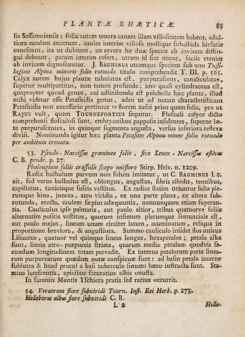 lis Seflamnienfis- folia autem tenera canam illam villofitatem habent, adul- tiora eandem amittunt, caules interi m villofa molli que fubalbida hirfutie: canefcunt, ita ut dubitem,, an revera hx duse fpecies ab invicem diftin- gui debeant, parum interim refert, utrum id fiat necne, facile etenim ab invicem dignofcuntur. J. Bauhinus utramque fpeciem fub uno TnjJi- laginis Alpina minoris folio rotundo titulo comprehendit T. III. p. 5<$<>«, Calyx autem hujus plantae tubulatus eft, purpurafcens, canaliculatus y fuperne multipartitus, non tamen profunde, imo quali cylmdraceus eft * quapropter quoad genus, cui adfcribenda eft pulchella haec plantay illud mihi videtur eife Petafitidis genus , adeo ut ad: notam charaderifticarrt Petafitidis non neceffario pertineat to florem nafci prius quam folia, pro ut Rajus vult, quem Tournefortius fequitur. Flofculi calyce didlo comprehenfi fiofculofi funt, embryonibus pappofis infidentes y fuperne lae¬ te purpurafcentes, in quinque Tegmenta angufta, verfus inferiora reflexa divifi. Nominanda igitur haec planta. Petafites Alpinus minor folio* rotunde per ambitum crenato. 53. Pfeudo - Narciffm gramineo folio , ftve Lenco - Narciffm ajiivm C. B. prodr. p. 27. Phalangium foliis cr affui is fcapo uni floro Stirp. Hclv. 11. 1209. Radix bulbulum parvum non folum imitatur ,, ut C. Bauhinus I. cv ait, fed verus bulbulus eft, oblongus,, anguftus, fibris albidis, tenuibus*, capillatus, tunieisque fufcis veftitus. Ex radice ftatim oriuntur folia ple¬ rumque bina, juncea, atro viridia T ex una parte plana, ex: altera fub- rotunda, ereda, caulem faepiusadaequantia, nonnunquam etiam fuperan- tia. Cauliculus ipfe palmaris, aut paulo altior,, tribus quatuorve foliis alternarim politis veftitus, quorum infimum plerumque femunciale eft r aut paulo majus, lineam unam' circiter latum T acuminatum1,, reliqua in proportione breviora, <Sc anguftiora. Summo cauliculo iiifidet flos unicus Liliaceus , quatuor vel quinque lineas longusv hexapetalos ; petala alba funt, lineis atro - purpureis ftriata, quarum media petalum quodvis fe¬ cundum longitudinem totam pervadit. Ex interna petalorum parte linea¬ rum purpurearum qusedam notse confpicux: funt: ad bafin petala interne' fublutea & haud procul a baft tuberculo finuato luteo inftruda funt». Sta¬ mina iutefcentia, apicibus; faturatius albis onuftq. In luminis. Montis Tfchiera pratis fed rarius occurrit. 54. Veratrumflore fubviridi Tourn» Injil Rei Htrh,.p;WfS* Melleborus albus fore fubviridi C. B. L r%