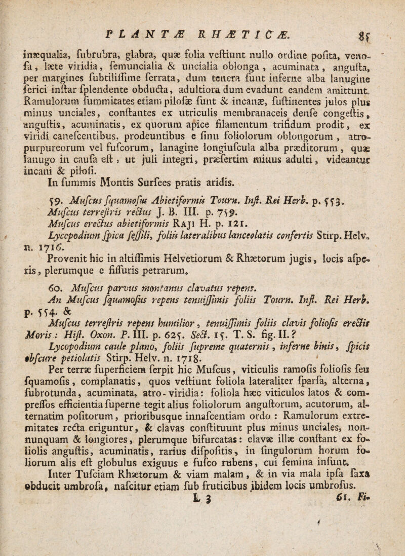 inaequalia, fubruhra, glabra, quae folia veftiunt nullo ordine pofita, veno- ' fa, Ise te viridia, femuncialia & uncialia oblonga , acuminata, angufta* per margines fubtiliflime ferrata, dum tenera funt inferne alba lanugine ferici inftar fplendente obduda, adultiora dum evadunt eandem amittunt. Ramulorum fummitates etiam pilofae funt & incanae, fuftmentes julos plus minus unciales, conftantes ex utriculis membranaceis denfe congeftis» unguitis, acuminatis, ex quorum apice filamentum trifidum prodit, ex viridi canefcentibus, prodeuntibus e finu foliolorum oblongorum , atro- purpureorum vel fufeorum, lanagine longiufcula alba praeditorum, quae lanugo in caufa eft > ut juli integri, prsefertim miuus adulti, videantur incani & pilo fi. In fummis Montis Surfees pratis aridis» 59. Mufcus fquatmfus Ab iet formis Tonrn. Inft. Rsi Heri. p. f f 3* Mufcus terrefiris reatus j. B. III. p. 7S9* Mufcus erectus abietformis Raji H. p. 121. Lyccp odium Jpica fejjili, foliis lateralibus lanceolatis confertis Stirp. Helv* n» 1716. Provenit hic in altiffimis Helvetiorum & Rhaetorum jugis, locis afpe- ris, plerumque e fiffuris petrarum* 60. Mufcus parvus montanus clavatus repens. An Mufcus fquamofus repens tenuijfimis foliis Tonrn. Infi. Rei Heri. p. ffq- & Mufcus terrefiris repens humilior , tenuffimis foliis clavis fotiofis ere&is Moris : Hift. Oxon. P. III. p. 62<j. Se&. if. T. S. fig. II. ? Lycopodium caule plano, foliis fupreme quaternis, inferne binis, fpicii ebfcure petiolatis Stirp. Helv. 11. 1718* Per terrae fuperficiem ferpit hic Mufcus, viticulis ramofis foliofis feu fquamofis, complanatis, quos veftiunt foliola lateraliter fparfa, alterna , fubrotunda, acuminata, atro - viridia: foliola haec viticulos latos & eom- preflos efficientia fuperne tegit alius foliolorum anguftorum, acutorum, al- ternatim politorum, prioribusque innafeentiam ordo : Ramulorum extre¬ mitates reda eriguntur, & clavas conftituunt plus minus unciales, non- nunquam & longiores, plerumque bifurcatas: clavae illae conftant ex fo¬ liolis anguftis, acuminatis, rarius difpofitis^, in Ungulorum horum fa» liorum alis eft globulus exiguus e fufeo rubens, oui femina infunt* Inter Tufciam Rhsetorum & viam malam, & in via mala ipfa faxa ©bducit umbrofa, nafeitur etiam fub fruticibus ibidem locis umbrofus.