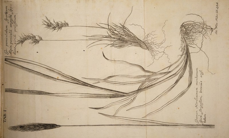 g * 3 a •Sal n *«sk <U V. <u 3 <s> <o g «4 N g *■* <u v*