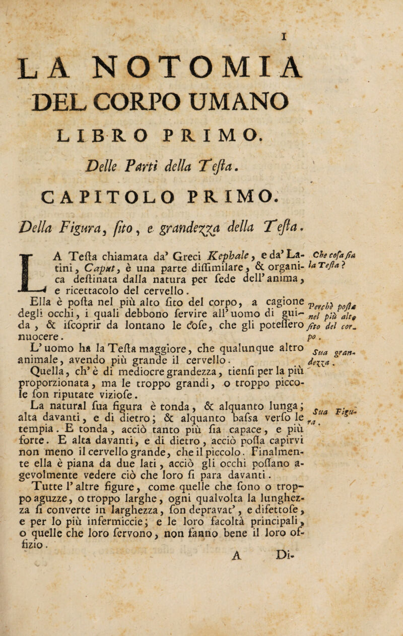 LA NOTOMIA DEL CORPO UMANO L I B R O PRIMO. Delle Partì della Defia. ' - » •' ' • ' <#V CAPITOLO PRIMO. Della Figura} fito, e grandegga, della Défia. LA Teda chiamata da* Greci Kephale > e da’La- cheeofa/ta tini. Caput, è una parte dirtìmilare, & organi- laTejìa? ca desinata dalla natura per fede dell5anima, e ricettacolo del cervello. Ella è porta nel più alto fito del corpo, a cagione Veuh} * degli occhi, i quali debbono fervire alFuomo di gui<- nei p-^ ah® da , & ifcoprir da lontano le c’ofe, che gli potertero fito del cor~ nuocere. po. L’uomo ha la Terta maggiore, che qualunque altro Sua ^ animale, avendo più grande il cervello. ^ dena. Quella, eh’ è di mediocre grandezza, tienfi per la più proporzionata, ma le troppo grandi, o troppo picco¬ le fon riputate viziofe. La naturai fua figura è tonda, & alquanto lunga; . alta davanti, e di dietro; & alquanto bafsa verfo le ua ~ tempia. E tonda , accio tanto piu fia capace, e piu forte. E alta davanti, e di dietro, acciò porta capirvi non meno il cervello grande, che il piccolo. Finalmen¬ te ella è piana da due lati, acciò gli occhi portano a- gevolmente vedere ciò che loro fi para davanti. Tutte F altre figure, come quelle che fono o trop¬ poaguzze, o troppo larghe, ogni qualvolta la lunghez¬ za fi converte in larghezza, fon depravai, edifettofe, e per lo più infermicele; e le loro facoltà principali, o quelle che loro fervono, non fanno bene il loro of- fizio. A Di-