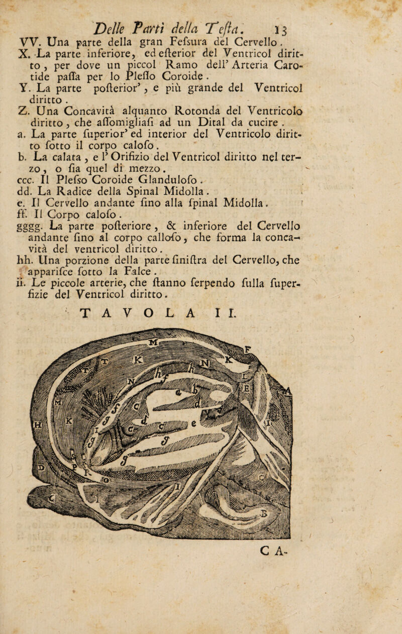 VV. Una parte della gran Fefsura del Cervello . X. La parte inferiore, ed efierior del Ventricol dirit¬ to , per dove un piccol Ramo dell5 Arteria Caro¬ tide palla per lo Plefio Coroide . Y. La parte pofterior5, e piu grande del Ventrieoi diritto . Z. Una Concavità alquanto Rotonda del Ventricolo diritto, che afiòmigliafi ad un Dital da cucire . a. La parte fiiperior* ed interior del Ventricolo dirit¬ to fotto il corpo calofo. b. La calata , e F Orifìzio del Ventrieoi diritto nel ter¬ zo, o fia quel di mezzo. ccc. Il Plefso Coroide Glandulofo . dd. La Radice della Spinai Midolla. e. II Cervello andante fino alla fpinal Midolla. ffi II Corpo calofo. gggg. La parte pofteriore , & inferiore del Cervello andante fino al corpo callofio, che forma la conca¬ vità del ventrieoi diritto. hh. Una porzione della parte finiftra del Cervello, che apparifee fotto la Falce . ii. Le piccole arterie, che Hanno ferpendo filila fuper- fizie del Ventrieoi diritto. TAVOLA IL