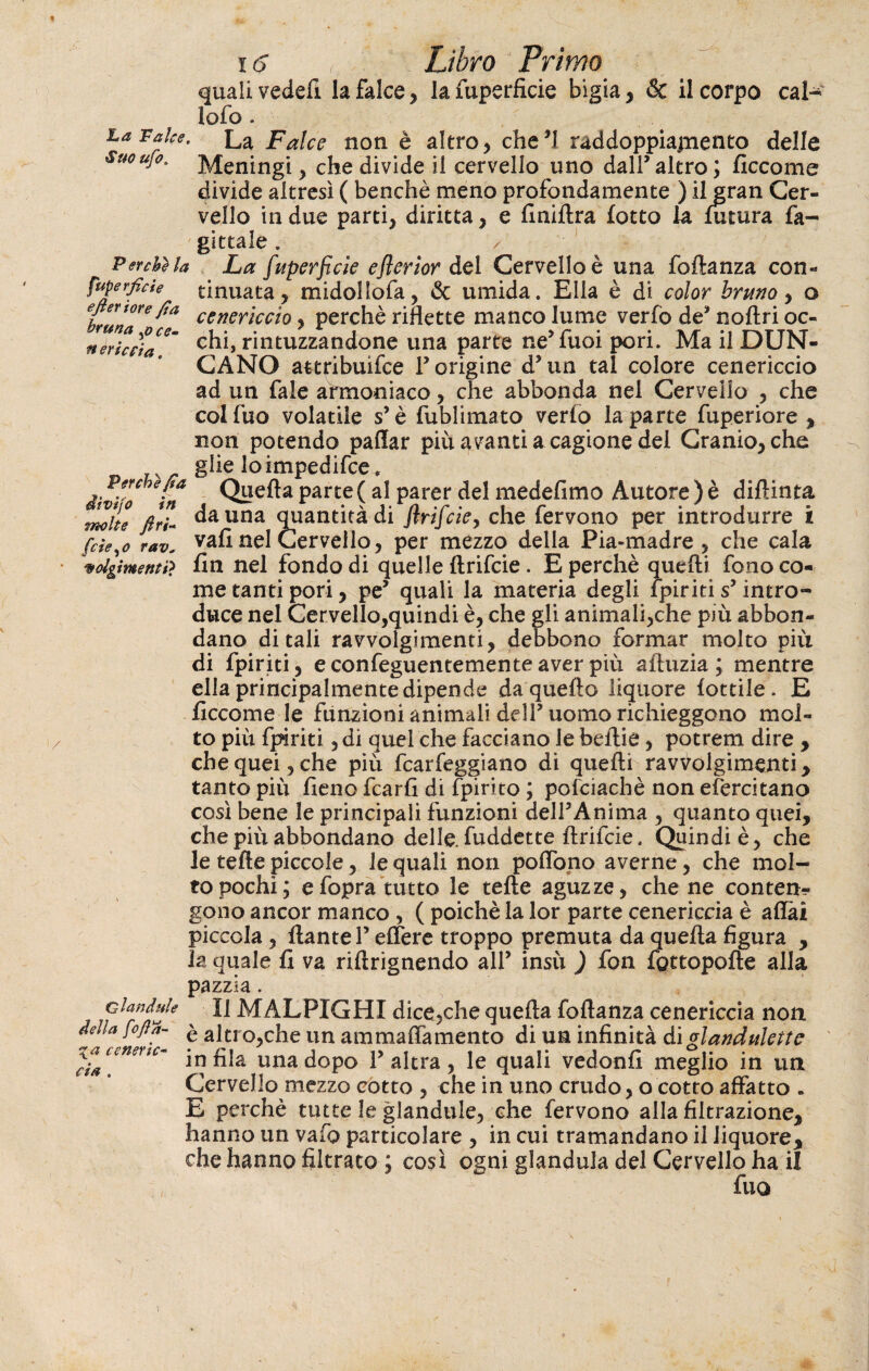 ha Talee. Suo ufo. P erchì la Superficie efieriore fia bruna ,0 ce¬ rerie fia. Perche fia dìvifo '/ 16 Libro Primo quali vedefi la falce, lafuperficie bigia, <5c il corpo cal- lofo. La Falce non è altro, che*! raddoppiamento delle Meningi , che divide il cervello uno dall’altro; ficcome divide altresì ( benché meno profondamente ) il gran Cer¬ vello indue parti, diritta, e finiftra lotto la futura fa- gittale . / La fuperficìe eflerior del Cervello è una foftanza con¬ tinuata, midoliofa, & umida. Ella è di color bruno, o cenericcio, perchè riflette manco lume verfo de’ noftri oc¬ chi, rintuzzandone una parte ne’fuoi pori. Ma il DUN- CANO attribuifee l’origine d’un tal colore cenericcio ad un fale armoniaco, che abbonda nel Cervello , che colfuo volatile s’è fublimato verfo la parte fuperiore , non potendo paflar più avanti a cagione dei Cranio, che glie loimpedifce, tn Quella parte ( al parer del medefimo Autore ) è diftinta molte Jfaì- danna quantità di flrifciey che fervono per introdurre i fdeìo rav, vali nel Cervello, per mezzo della Pia-madre, che cala volgimenti} fin nel fondo di quelle ftrifeie. E perchè quelli fono co¬ me tanti pori, pe’ quali la materia degli /piriti s’intro¬ duce nel Cervello,quindi è, che gli animali,che più abbon¬ dano ditali ravvolgimenti, debbono formar molto più di fpiriti, econfeguentementeaver più aftuzia ; mentre ella principalmente dipende da quello liquore lottile. E ficcome le funzioni animali dell’uomo richieggono mol¬ to più fpiriti, dì quel che facciano le beftie, potrem dire , che quei, che piu fcarfeggiano di quelli ravvolgimenti, tanto più fieno fcarfi di fpirito ; pofciachè non efbrcitano così bene le principali funzioni dell’Anima , quanto quei, che più abbondano delle, fuddette ftrifeie. Quindi è, che le telle piccole, le quali non poflb.no averne , che mol¬ topochi; efopratutto le telle aguzze, che ne conten¬ gono ancor manco , ( poiché la lor parte cenericcia è aliai piccola, Hante T elFere troppo premuta da quella figura , la quale fi va rillrignendo all’ insù ) fon fottopolle alla pazzia. clan dui e X] MALPIGHI dice,che quella foftanza cenericcia non delia fi fi a- £ altro,che un ammaffamento di un infinità di glandulettc za c enerte- ^ fila una dopo l’altra, le quali vedonfi meglio in un Cervello mezzo cotto , che in uno crudo, o cotto affatto . E perchè tutte le glandule, che fervono alla filtrazione, hanno un vaio particolare , in cui tramandano il liquore, che hanno filtrato ; così ogni gianduia del Cervello ha il fu a età \