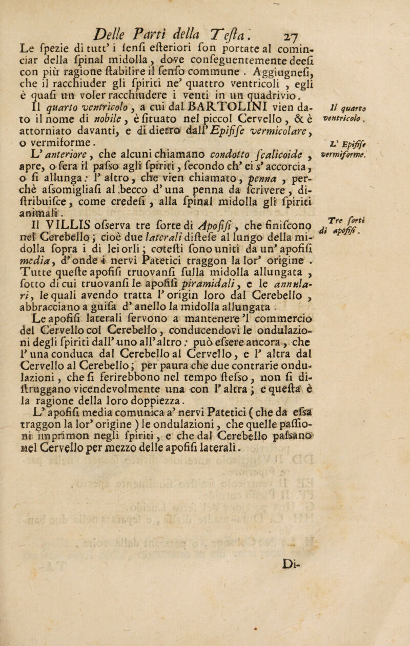 Le fpezie di tint’ i fenfi efteriori fon portate al comin¬ ciar della fpinal midolla, dove confeguentementedeefi con più ragione flabilireil fenfo commune . Aggiugnefi, che il racchiuder gli fpiriti ne’ quattro ventricoli , egli è quafi un voler racchiudere i venti in un quadrivio. 11 quarto ventricolo , a cui dal BARTOLINI vien da¬ to il nome di nobile, èfituato nel piccol Cervello, &è attorniato davanti, e didietro dall9 Epifife vermicolare, o vermiforme. L9 anteriore, che alcuni chiamano condotto fcalicoide , apre, o fera il pafso agli fpiriti, fecondo eh’ ei sy accorcia, o fi allunga: P altro, che vien chiamato, penna , per¬ chè afsomigliafi aLbecco d’ima penna da lcrivere , di- flribuifce, come credefi , alla fpinal midolla gli fpiriti animali. Il VILLIS ofserva tre forte di Apofifi, chefinifcono nel Cerebello ; cioè due laterali diftefe al lungo della mi¬ dolla fopra i di lei orli; catelli fono uniti da un’apofifi media, d* onde 4 nervi Patetici traggon la lori origine . Tutte quelle apofifi truovanfi fulla midolla allungata , fotto di cui truovanfi le apofifi piramidali, e le annula- riy le quali avendo tratta Porigin loro dal Cerebello , abbracciano a guifa d’anello la midolla allungata . Le apofifi laterali fervono a mantenere ’1 commercio del Cervello col Cerebello, conducendovi le ondulazio¬ ni degli fpiriti dalPuno all’altro : può efisere ancora, che P una conduca dal Cerebello al Cervello, e P altra dai Cervello al Cerebello ; per paura che due contrarie ondu¬ lazioni , che fi ferirebbono nel tempo fiefso, non fi di- ilrugganovicendevolmente una con Paîtra; equefla è la ragione della loro doppiezza. Ly apofifi media comunica a5 nervi Patetici ( che da efsra traggon la lori origine ) le ondulazioni, che quelle paffio- ni imprimon negli fpiriti, e che dal Cerebello pafsano nel Cervello per mezzo delle apofifi laterali • C « Il quarto ventricolo. V Epifift vermiforme. Tre forti di apofifi „