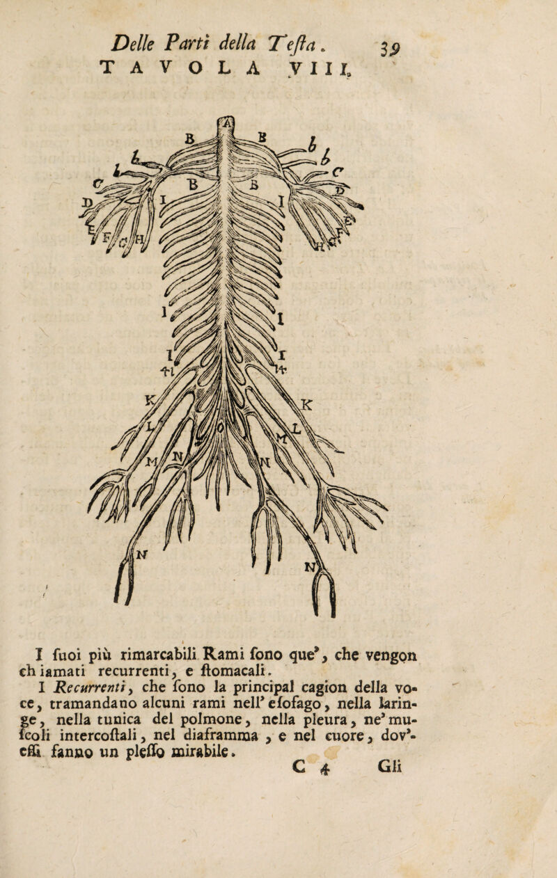 TAVOLA Vili. I fuoi più rimarcabili Rami fono que% che vengon chiamati recurrenti, e ftomacali. I Recurrcnti, che fono la principal cagion della vo¬ ce, tramandano alcuni rami nelf efofago, nella larin¬ ge, nella tunica del polmone, nella pleura, ne’mu- lcoli intercoftali, nel diaframma , e nel cuore > dov*- efii fanno un pleffo mirabile»