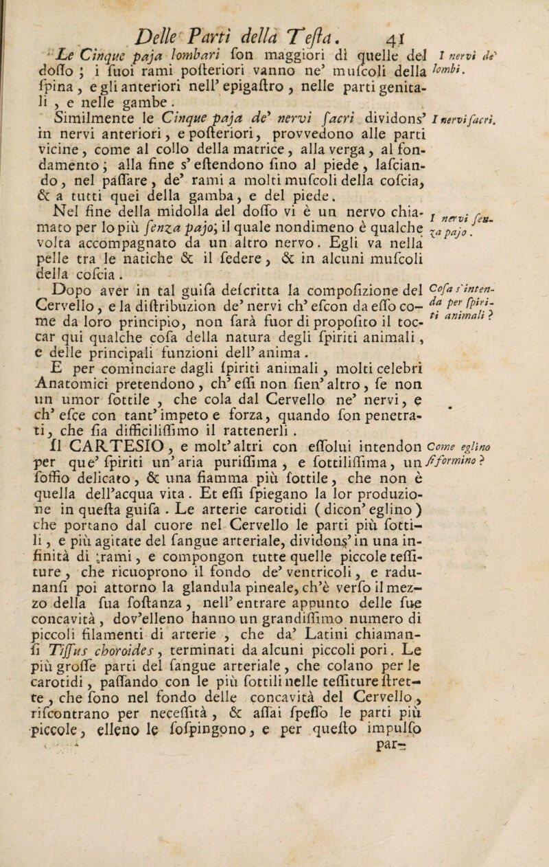 ' Le Cinque paja lombari fon maggiori dì quelle del i nervi di dolio ; i Tuoi rami polleriori vanno ne’ mulcoli della lombi. fpina , e gli anteriori nell5 epigaftro , nelle parti genita¬ li , e nelle gambe. Similmente le Cinque paja de5 nervi facri di vidons5 I nervi [acri. in nervi anteriori, e polleriori, provvedono alle parti vicine, come al collo della matrice, alla verga, al fon¬ damento ; alla fine s5 eftendono fino al piede, lafcian- do, nel palfare, de5 rami a molti mufcoli della cofcia, & a tutti quei della gamba, e del piede. Nel fine della midolla del dofìfo vi è un nervo chia- j nervì r ma co per lo più fenza pajo; il quale nondimeno è qualche pajl !& volta accompagnato da un altro nervo. Egli va nella pelle tra le natiche & il federe, & in alcuni mufcoli della cofcia . Dopo aver in tal guifa delcritta la compofizione del Cofa s'interi- Cervello, e la diftribuzion de5 nervi eh5 efeon da elfo co- Per. me da loro principio, non farà fuor di proposito il toc- U amma *- car qui qualche cofa della natura degli fpiriti animali, e delle principali funzioni dell5 anima. E per cominciare dagli {piriti animali, molti celebri Anatomici pretendono, ch’effinon fien5altro, fe non un umor fottile , che cola dal Cervello ne5 nervi, e eh5 efee con tant5impeto e forza, quando fon penetra¬ ti, che fia difficiliffimo il rattenerli . Il CARTESIO, e molt5altri con efìfolui intendon come eglino per que5 fpiriti un'aria puriffima , e fottiliffima, u w fi formino} lòffio delicato, ÔC una fiamma più fottile, che non è quella dell’acqua vita . Et effi fpiegano la lor produzio¬ ne in quella guifa . Le arterie carotidi ( dicon5 eglino ) che portano dal cuore nel Cervello le parti più fotti- li , e più agitate del fangue arteriale, dividono’in una in¬ finità di ;rami, e compongon tutte quelle piccole teffi- ture , che ricuoprono il fondo de5 ventricoli, e radu- nanfi poi attorno la gianduia pineale, ch’è verfo il mez¬ zo della fua follanza , nell5 entrare appunto delle fue concavità , dov’elleno hanno un grandiffimo numero di piccoli filamenti di arterie , che da5 Latini chiaman- fi TiJJ'us choroïdes, terminati da alcuni piccoli pori. Le più groffe parti del fangue arteriale, che colano per le carotidi, pallando con le più fiottili nelle teffitureflret- te , che fono nel fondo delle concavità del Cervello, rifeontrano per neceffità , & affai fpeffo le parti più piccole, elleno le fofpingono, e per quello impulfo v- * par-