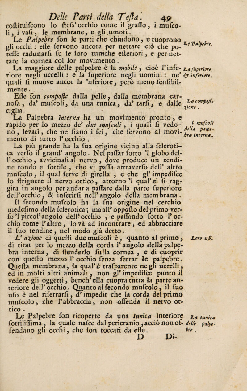 collituifcono Io flefs’occhio come il graffo, i mufco- li, i vali, le membrane, e gli.umori . Le Palpebre fon le parti che chiudono, ecuoprono gli occhi : effe fervono ancora per nettare ciò che po- tefle radunarli fu le loro tuniche citeriori, e per net¬ tare la cornea col lor movimento. Le Valpebre, La maggiore delle palpebre è la mobile, cioè l’infe- La fuperiore riore negli uccelli 1 e la fuperiore negli uomini: ne? 43 inferiore. quali fi muove ancor la ’nferiore, però meno fenfibil- mente. Effe fon compofle dalla pelle, dalla membrana car- nofa, da’ mufcoli, da una tunica, da’ tarli, e dalle La ciglia. ' La Palpebra interna ha un movimento pronto, e rapido per lo mezzo de5 due mufculi, i quali fi vedo- . J mufc°l* no, levati, che ne fiano i fei, che fervono ai movi- mento di tutto 1 occhio . La più grande ha la fua origine vicino alla fcleroti- ca verfo il grand’ angolo . Nel paffar fotto ’l globo del- T occhio , avvicinali al nervo , dove produce un tendi¬ ne tondo e fottile , che vi pafla attraverfo dell’ altro mufcolo, il qual ferve di girella , e che gl’impedifce 10 ftrignerc il nervo ottico, attorno *1 qual’ei fi rag¬ gira in angolo per andar a paflare dalla parte fuperiore dell’occhio, & inferirli nell’angolo della membrana. Il fecondo mufcolo ha la fua origine nel cerchio medefimo della fclerotica; ma all’ oppofto del primo ver¬ fo ’l picco 1’angolo dell* occhio , e paflando fotto roc¬ chio come l’altro, lovà ad incontrare, ed abbracciare 11 fuo tendine, nel modo già detto. I? azione di quelli duemufcoli e, quanto al primo. Loro ufi, di tirar per lo mezzo della corda V angolo della palpe¬ bra interna, di {tenderlo fulla cornea , e di cuoprir con quello mezzo V occhio fenza ferrar le palpebre. Quella membrana, la qual’è trafparente negli uccelli, ed in molti altri animali , non gl’impedifce punto il vedere gli oggetti, bench’ella cuopra tutta la parte an¬ teriore dell’occhio. Quanto al fecondo mufcolo, il fuo ufo è nel riferrarfi, d’impedir che la corda del primo mufcolo, che P abbraccia, non offenda il nervo ot¬ tico . Le Palpebre fon ricoperte da una tunica interiore a tunica fottiliflima , la quale nafce dal pericranio ,acciò non of- delle palpe. fendano gli occhi, che lon toccati da effe. D Di-