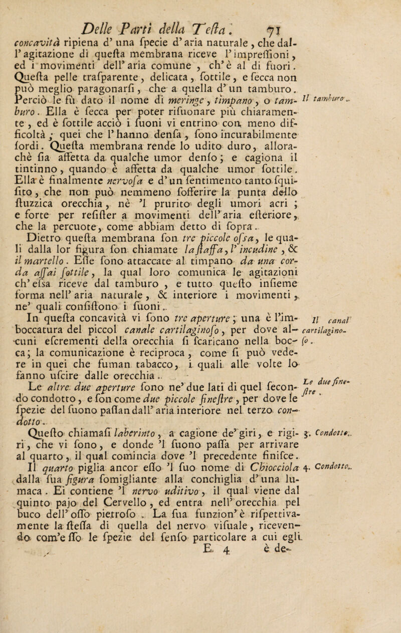 concavità ripiena d’ una fpecie d’aria naturale , che dal- T agitazione di quefta membrana riceve 1’ impreffioni, ed i movimenti dell’aria comune , eh’è al di fuori. Quefta pelle trafparente , delicata , fottile, e fecca non può meglio paragonarli, che a quella d’ un tamburo. Perciò- le fìi dato il nome di meringe, timpano , o tam- 11 tamburo *, buro. Elia è fecca per poter rifuonare più chiaramen¬ te , ed è fottile acciò i fuoni vi entrino eoa meno dif¬ ficoltà ; quei che l’hanno denfa , fono incurabilmente lordi. Quefta membrana rende lo udito duro, allora- chè fia affetta da. cjualche umor denlo ; e cagiona il tintinno, quando e affetta da qualche umor fiottile. Elia è finalmente nervofa e d’un fentimento tanto fqui- fito, che non può nemmeno fofferire la punta dello ftuzzica orecchia, nè ’l prurito degli umori acri ; e forte per refifter a movimenti dell’aria efteriore, che la percuote, come abbiam detto di fopra.. Dietro quefta membrana fon tre piccole ofsa, le qua¬ li dalla Ior figura fon chiamate lafi affa, /’ incudine , ÔC il martello. Elle fono attaccate al timpano da ma cor¬ da affai fottile, la qual loro comunica le agitazioni eh’ efsa riceve dal tamburo , e tutto quello infieme forma nell’ aria naturale , 6c interiore i movimenti ,, ne’ quali con fi Ilo no i fuoni.. In quefta concavità vi fono tre aperture ; una è firn- u canap boccatura dei piccol canale cartilaginofo, per dove al— canìlagìno- ‘Cuni eferementi della orecchia fi fcaricano nella boc- fi. ca; la comunicazione è reciproca, come fi può vede¬ re in quei che fuman tabacco, i. quali alle volte lo fanno ufeire dalle orecchia.. ./ due fine- Le altre, due aperture fono ne5 due lati di quel fecon- jfTS ueJìne‘ dò condotto, e fon come due piccole fineflre > per dove le J fpezie del fuono paflan dall’ aria interiore nel terzo con— dotto * Quello chiamati lab eri nto , a cagione de5 giri, e rigi- $. Condotte,. ri, che vi fono, e donde ’l fuono palfa per arrivare al quarto,, il qual comincia dove ’l precedente finifee. Il quarto piglia ancor elio ’l fuo nome di Chiocciola 4- Condotto.. dalla fua figura fomigliante alla conchiglia d’una lu¬ maca . Ei contiene ’l nervo uditivo, il qual viene dal quinto pajo del Cervello, ed entra nell’ orecchia pel duco dell’olfo pie.trofo „ La fua funzion’è rifpettiva- mente la ftefta di quella del nervo vifuale, riceven¬ do com’e ffo le fpezie del fenfo particolare a cui egli. E, 4 è de-