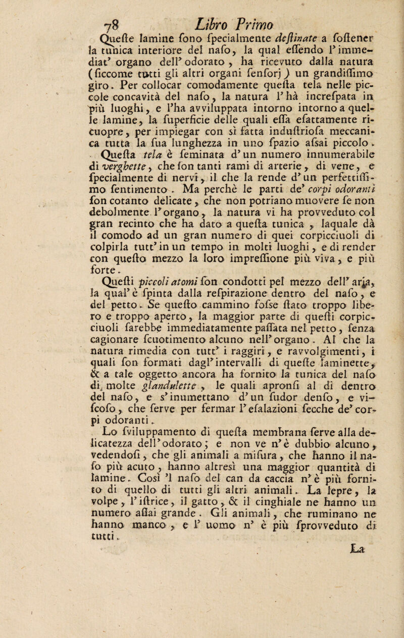 Quelle lamine fono fpecialmente deflìnate a foftener !a tunica interiore del nafo, la qual elfendo 1* immé¬ diat’ organo dell’ odorato , ha ricevuto dalla natura (ficcome tutti gli altri organi fenforj ) un grandiffimo giro- Per collocar comodamente quella tela nelle pic¬ cole concavità del nafo, la natura Y hà increfpata in più luoghi , e l’ha avviluppata intorno intorno a quel¬ le lamine, la fuperficie delle quali elfa efattamente ri- cuopre, per impiegar con si fatta induftriofa meccani¬ ca tutta la fua lunghezza in uno fpazio afsai piccolo - • Quefta tela è feminata d’un numero innumerabile di verghettey che fon tanti rami di arterie , di vene, e fpecialmente di nervi, il che la rende d’ un perfettiffi- mo fentimento . Ma perchè le partì de* corpi odoranti fon cotanto delicate,, che non potrrano muovere fe non debolmente Porgano , la natura vi ha provveduto col gran recinto che ha dato a quefta tunica , laquale dà il comodo ad un gran numero di quei corpicciuoli di colpirla tutt5 in un tempo in molti luoghi, e di render con quefta mezzo la loro impreftìone più viva, e più forte - Quelli pìccoli atomi &òn condotti pel mezzo delPar^a, la qual5è fpinta dalla refpirazione dentro del nafo, e del petto - Se quello cammino folse flato troppo libe¬ ro e troppo aperto, la maggior parte di quelli corpic¬ ciuoli farebbe immediatamente paflata nel petto, lenza cagionare fcuotimento alcuno nell5organo . AI chela natura rimedia con tutt5 i raggiri , e ravvolgimenti, i quali fon formati dagl5intervalli di quefte laminette,. & a tale oggetto ancora ha fornito la tunica del nafo df molte glandulette , le quali apronfì al di dentro del nafo, e s5inumettano d’un fudor denfo, e vi— fcofo, che ferve per fermar Y e(alazionl fecche de5 cor¬ pi odoranti». Lo fviluppamento dì quefta membrana ferve alla de¬ licatezza dell5odorato ; e non ve n5è dubbio alcuno,, vedendoli, che gli animali a mifura, che hanno il na¬ fo più acuto , hanno altresì una maggior quantità di lamine. Così nafo del can da caccia n5 è più forni¬ to di quello di tutti gli altri animali. La lepre, la volpe, Y iftrice, il gatto, & il cinghiale ne hanno un numero aQai grande. Gli animali, che ruminano ne hanno manco , e l5 uomo n5 è più fprovveduto dì tutti. La