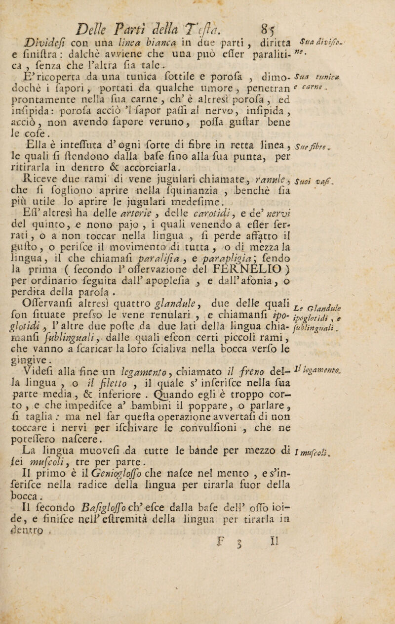 Dividefi con una lìnea bianca in due parti , diritta s“a dhi/ìo. e faillira : daichè avviene che una può eder paraliti- ne- ca , fenza che l’altra fia tale. E’ricoperta da una tunica Tortile e porofa , dimo- $*** tunica dochè i lapori , portati da qualche umore , penetran f carm • prontamente nella Tua carne , eh’ è altresì porofa , ed insipida : porofa acciò ’l fa por palliai nervo, infipida , acciò, non avendo fapore veruno, polla guidar bene le cote. Ella è in tefTuta d’ogni forte di fibre in retta linea, sue fibre. le quali fi {tendono dalla bafe fino alla Tua punta, per ritirarla in dentro & accorciarla. Riceve due rami di vene iugulari chiamate, ramile, suoi che fi fogliono aprire nella fquinanzia , .benché fia più utile lo aprire le iugulari medefime. Ed’altresì ha delle arterie , delle carotidi, e de’ nervi del quinto, e nono paio , i quali venendo a efler fer¬ rati , o a non toccar nella lingua , fi perde affatto il gufto, o perifee il movimento di tutta, o di mezzala lingua, il che chiamali paralifia , e paraplegia y fendo la prima ( fecondo F ofTervazione del FERNELIO ) per ordinario feguita dall’apopleiìa , e dall’afonia, o perdita della parola . Olfervanfi altresì quattro fon fituate prefso le vene ,, F altre due polle da due lati delia lingua chia- fuhUnguJì . filò linguali, dalle quali efeon certi piccoli rami, che vanno a fcaricar la loro fcialiva nella bocca verfo le gingive. < Videfi alla fine un legamento, chiamato il freno 11 legamenti la lingua , o il filetto , il quale s’ inferifee nella fua parte media, & inferiore . Quando egli è troppo cor¬ to, e che impedifee a5 bambini il poppare, o parlare, fi taglia : ma nel far quella operazione avvertati di non toccare i nervi per ifchivare le convulfioni , che ne potelfero nafeere. La lingua muovei! ,da tutte le bande per mezzo di /mufcoU. lei muficoli, tre per parte. Il primo è il Genioglojfo che nalce nel mento , es’in- ferifee nella radice della lingua per tirarla fuor della bocca. Il fecondo Bafiglojfio eh* efee dalla bafe dell’ offo ioi¬ de, e finifee nell’ elìremità della lingua per tirarla in dentro , gl ot idi manfi glavdule, due delle quali £, gUM enulari , e chiamanti tt>o- . Il