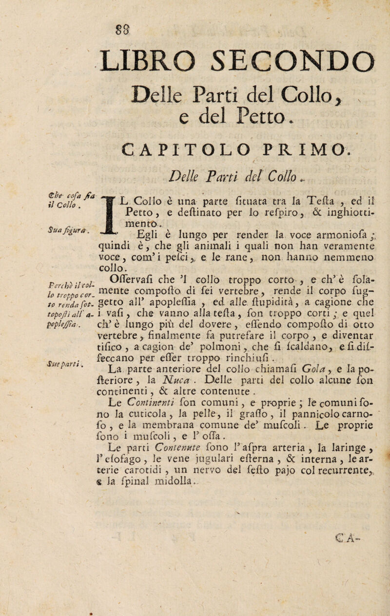 LIBRO SECONDO Delle Parti del Collo , , e del Petto * ®be- cofa fia il Collo . Sua figura* Perche il 'col¬ lo troppo cor¬ to renda fot- topojh a ll a - pcplejjta. Sue partì. CAPITOLO PRIMO. Delle Parti del Collo.. * IL Collo è una parte funata tra la Telia , ed il Petto, e desinato per lo refpiro, & inghiotti¬ mento. Egli è lungo per render la voce armoniofa quindi è, che gli animali i quali non han veramente voce, confi pefci,, e le rane, non hanno nemmeno collo. Ortervafi che 31 collo troppo corto-, e chy è fola» mente comporta di fei vertebre, rende il corpo fug- getto alT apopleffia , ed alle rtupidità, a cagione che i vali, che vanno alla terta, fon troppo corti ; e quel di’ è lungo più del dovere, ertendo comporto di otto vertebre,, finalmente fa putrefare il corpo, e diventar tifico, a .ca gioii de5 polmoni, che fi fcaldano, efidil- feccano per erter troppo rinchiufi . La parte anteriore del collo chiamali Goìay e la po~ fìeriore , la Nuca . Delle parti del collo alcune fon continenti, & altre contenute . Le Continenti fon comuni, e proprie; le comuni fo¬ no Ja cuticola , la pelle, il grado, il pannicolocarno- fo , e la membrana comune de5 mufcoli. Le proprie fono i mufcoli, e F offa. Le parti Contenute fono Fafpra arteria , la laringe , Fefofago, le vene iugulari erterna , & interna, le ar¬ terie carotidi , un nervo del fello pajo col récurrente, «.la. fpinal midolla.