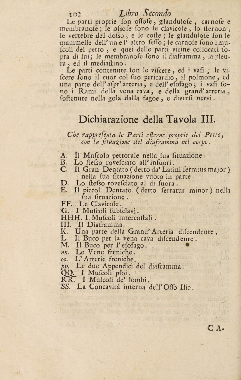 toi- Libro Secondo Le parti proprie fon offofe, glandulofe ? carnofe e membra nofe ; le ofsofe fono le clavicole > lo fternon ? le vertebre del dofso, e le colle ; le glandulofe fon le mammelle dell5 un e V altro fedo ; le camole fono i mu- fcoli del petto > e quei delle parti vicine collocati fo- pra di lui; le membranofe fono il diaframma } la pleu¬ ra 5 ed il mediaftino. Le parti contenute fon le vifcere, ed i vafi ; le vi- fcere fono il cuor col fuo pericardio > il polmone, ed una parte deli5 afpr5 arteria, e dell* efofago ; i vafi fo¬ no i Rami della vena cava, e della grand'arteria ? foftenute nella gola dalla fagoe y e diverfi nervi. . Vf* ■ f. . .■. \ > . Dichiarazione della Tavola III. Che rappreferita le Parti ejlerne proprie del Petto y con la fituazione del diaframma nel corpo. A. Il Mufcolo pettorale nella fua fituazione. B. Lo ftefso rovefciato all5 infuori. C li G ran Dentato ( detto da5 Latini ferratus major ) nella fua fituazione vuoto in parte. D. Lo flefso rovefciato al di fuora . E. Il piccol Dentato ( detto ferratus minor ) nella fua fituazione . FF^ Le Clavicole . G. I Mufcoli fubfdavj. HHH. I Mufcoli intercofiali . III. Il Diaframma. K. Una parte della Grand'Arteria difendente, L. Il Buco per la vena cava difcendente. M. Il Buco per l5 efofago. • un. Le Vene freniche. oo. L5 Arterie freniche. pp. Le due Appendici del diaframma. I Mufcoli pfoi, RR. 1 Mufcoli de5 lombi. SS. La Concavità interna dell5 Oliò Ilic. € A- \