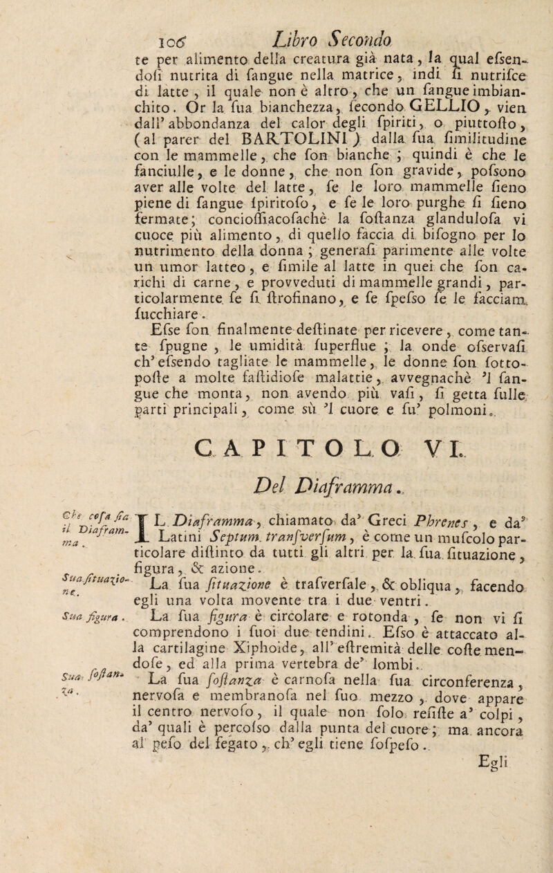 Che ccfà fia il Diafram¬ ma . S uafituafio* ne:. Sua figura . Sua; fifian* fi*. io6 Libro Secondo te per alimento della creatura già nata, la qual efsen» doli nutrita di fangue nella matrice , indi fi nutrifce di latte , il quale non è altro , che un fangue imbian¬ chito. Or la fua bianchezza, fecondo GELLIO, vien dall’abbondanza del calor degli. fpiriti, o piuttofto, (al parer del BARTOLIN1 ) dalla fua fimilit.udine con le mammelle, che fon bianche ; quindi è che le fanciulle, e le donne, che non fon gravide, pofsono aver alle volte del latte, fe le loro mammelle fieno piene di fangue fpiritofo, e fe le loro purghe fi fieno fermate; concioffiacofachè la Portanza glandulofa vi cuoce piu alimento,, di quello faccia di bifogno per lo nutrimento della donna ; generali parimente alle volte un umor latteo, e limile al latte in quei che fon ca¬ richi di carne, e provveduti di mammelle grandi, par¬ ticolarmente fe fi, ftrofinano, e fe fpefso fe le facciam fucchiare « Efse fon finalmente dertinate per ricevere , come tan¬ te fpugne , le umidità fuperflue ; la onde ofservafi ch’efsendo tagliate le mammelle, le donne fon fotto- pofie a molte faflidiofe malattie, avvegnaché ’ì fan¬ gue che monta, non avendo più vafi , fi getta fulle parti principali, come su y1 cuore e fu’ polmoni». C A PITOL Q V I. Del Diaframma., Ih. Diaframma y chiamato, da* Greci Phrenes , e da5 Latini Septum, tranfiverfum, è come un mufcolo par¬ ticolare diftinto da tutti gli altri per la. fua Umazione, figura, & azione « La fua fîtuazione è trafverfale ,, & obliqua, facendo egli una volta movente tra i due ventri. La fua figura è circolare e rotonda , fe non vi fi comprendono i fuoi due tendini. Efso è attaccato al¬ la cartilagine Xiphoide, alPeftremità delle cortemen« dofe, ed alla prima vertebra de* lombi. La fuâ fio fi an za è carnofa nella fua circonferenza, nervofa e membranofa nel fuo mezzo , dove appare il centro nervofo, il quale non folo refifte a5 colpi, da’quali è percofso dalla punta del cuore ;; ma ancora al pefo del fegatodi’egli tiene fofpefo.. f Egli