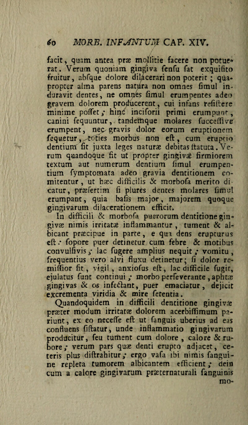facit, quam antea pras mollitie facere non potue» rat. Verum quoniam gingiva fenfu fat exquifito fruitur, abfaue dolore dilacerari non poterit ; qua* propter alma parens natura non omnes fimul in¬ duravit dentes, ne omnes fimul erumpentes adeo gravem dolorem producerent, cui infans refiftere minime poffet/ hinc inciforii primi erumpunt, canini fequuntur, tandetnque molares fucceflive erumpent, neq-gravis dolor eorum eruptionem fequetur,^toties morbus non eft, cum eruptio dentiurrf fit juxta leges naturae debitas itatuta. Ve¬ rum quandoque fit ut propter gingiva firmiorem textum aut numerum dentium fimul erumpen¬ tium fymptomata adeo gravia dentitionem co¬ mitentur, ut hasc difficilis & morbofa merito di catur, prsfertim fi plures dentes molares fimul erumpant, quia bafis major, majorem quoque gingivarum dilacerationem efficit. In difficili & morbofa puerorum dentitione gin¬ givas nimis irritata inflammantur , tument & al¬ bicant prascipue in parte, e qua dens erupturus eft .* fopore puer detinetur cum febre & motibus convulfivis/ lac fugere amplius nequit,* vomitu, frequentius vero alvi fluxu detinetur; fi dolor re- tniffior fit, vigil, anxiofus eft, lac difficile fugit, ejulatus funt continui / morbo perfeverante, aphtas gingivas & os infe&ant, puer emaciatur, dejicit excrementa viridia & mire fetentia. Quandoquidem in difficili dentitione gingivas praster modum irritatas dolorem acerbiffimum pa- riunt, ex eo neceffe eft ut fanguis uberius ad eas confluens fiftatur* unde inflammatio gingivarum producitur, feu tument cum dolore, calore & ru¬ bore/ verum pars quas denti erupto adjacet, ce¬ teris plus diftrahitur/ ergo vafa ibi nimis fangui- ne repleta tumorem albicantem efficient/ dein cum a calore gingivarum prseternaturali fanguinis mo-
