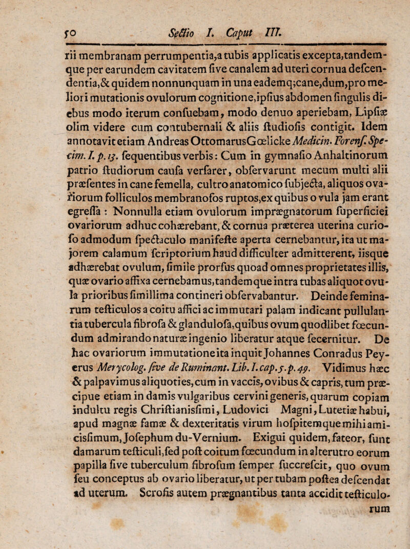 rii membranam perrumpentia,a tubis applicatis excepta,tandem- que per earundem cavitatem five canalem ad uteri cornua defcen- dentia,& quidem nonnunquam in una eademq;cane,dum,pro me¬ liori mutationis ovulorum cognitione, ipfius abdomen fingulis di¬ ebus modo iterum confuebam, modo denuo aperiebam, Lipfiae olim videre cum contubernali & aliis ftudiofis contigit. Idem annotavit etiam Andreas OttomarusGoelicke Medicin, Forenf.Spe- am.I.p.13. (equentibusverbis: Cum in gymnafio Anhtaltinorum patrio ftudiorum caufa verfarer, obfervarunt mecum multi alii praefentes in cane femella, cultro anatomico fubje&a, aliquos ova¬ liorum folliculos membranofos ruptos,ex quibus o vula jam erant egrefla : Nonnulla etiam ovulorum impraegnatorum fuperficiei ovariorum adhuc cohaerebant, & cornua praeterea uterina curio- fo admodum (pe&aculo manifefte aperta cernebantur, ita ut ma¬ jorem calamum fcriptorium haud difficulter admitterent, iisque adhaerebat ovulum, flmile prorfus quoad omnes proprietates illis, quae ovario affixa cernebamus, tandem que intra tubas aliquot o vu¬ la prioribus fimillima contineri obfervabantur. Deinde femina¬ rum tefticulosa coitu affici ac immutari palam indicant pullulan¬ tia tubercula fibrofa & glandulofa,quibus ovum quodlibet fcecun- dum admirandonaturaeingenio liberatur atque fecernitur. De hac ovariorum immutationeita inquit Johannes Conradus Pey- erus Merycohg. five de Ruminant. Lib. L cap.f.p. 49. Vidimus haec & palpavimus aliquoties,cum in vaccis, ovibus&capris, tum prae¬ cipue etiam in damis vulgaribus cervini generis, quarum copiam indultu regis Chriftianisfimi, Ludovici Magni, Lutetiae habui, apud magnae famae & dexteritatis virum hofpitemquemihiami- cisfimum, Jofephum du-Verniumu Exigui quidem, fateor, funt damarum tefticuli,fed poft coitum foecundum in alterutro eorum papilla five tuberculum fibrofum femper fuccrefcit, quo ovum feu conceptus ab ovario liberatur, ut per tubam poftea defcendat ad uterum. Scrofis autem praegnantibus tanta accidit tefliculo- rum