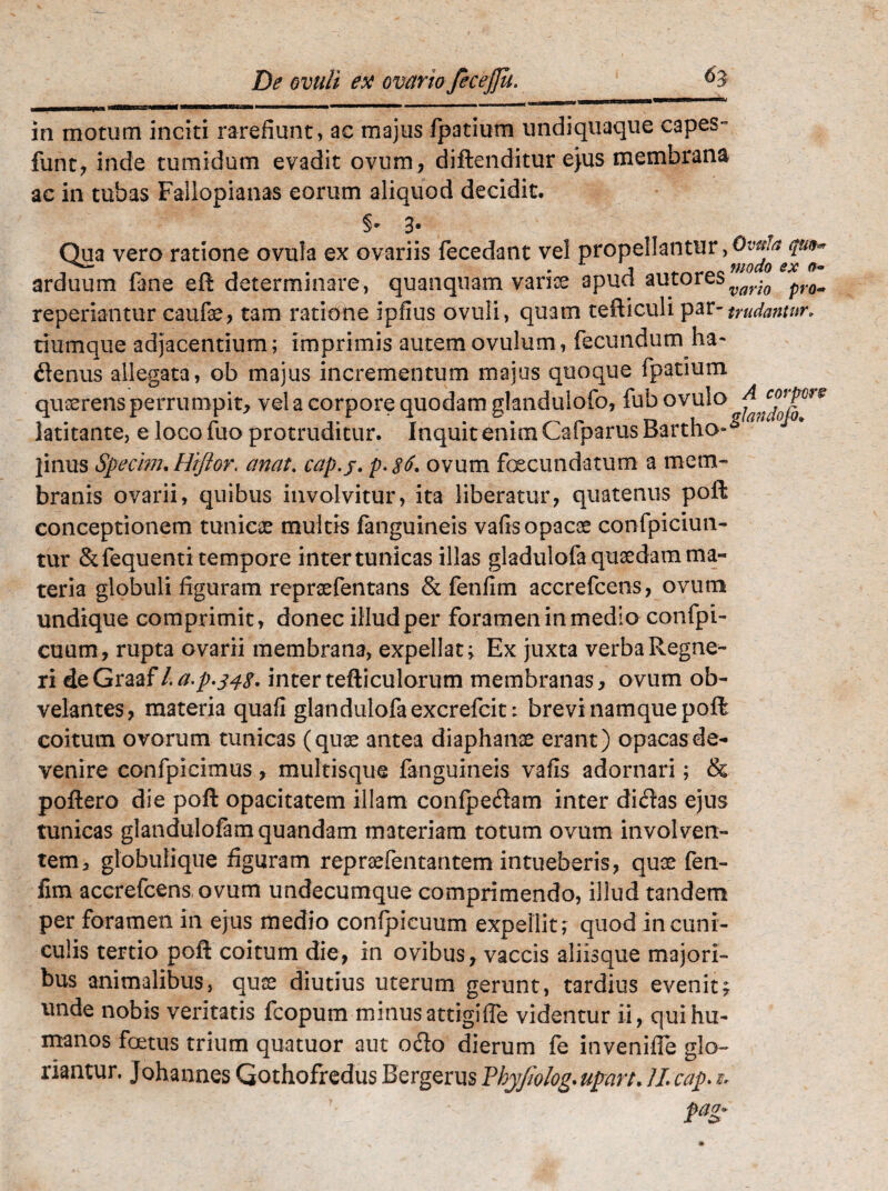 in motum inciti rarefiunt, ac majus fpatium undiquaque capes- funt, inde tumidum evadit ovum, diftenditur e>us membrana ac in tubas Failopianas eorum aliquod decidit. 3% Qua vero ratione ovula ex ovariis fecedant vel propellantur,Ovala qim<* arduum fane eft determinare, quanquam variae apud autoresvayio ^r(jm reperiantur caufae, tam ratione ipfius ovuli, quam tefticuli par -trudantur, tiumque adjacentium; imprimis autemovulum, fecundum ha- flenus allegata, ob majus incrementum majus quoque fpatium quaerens perrumpit, vel a corpore quodam glandulofo, fub ovulo A latitante, e loco fuo protruditur. Inquit enim Cafparus Bartho¬ linus Specim. Hiftor. anat. cap.j. p-gd. ovum foecundatum a mem¬ branis ovarii, quibus involvitur, ita liberatur, quatenus poft conceptionem tunicae multis fanguineis vafis opacae confpiciun- tur &fequenti tempore inter tunicas illas gladulofaqusedam ma¬ teria globuli figuram repraefentans & fenfim accrefcens, ovum undique comprimit, donec illud per foramen in medio confpi- cuum, rupta ovarii membrana, expellat; Ex juxta verbaRegne- ri deGraaf/.a,p*g4g. intertefticulorum membranas, ovum ob¬ velantes, materia quafi glandulofaexcrefcit: brevi namque poft coitum ovorum tunicas (quae antea diaphanae erant) opacas de¬ venire confpicimus, multisque fanguineis vafis adornari; & poftero die poft opacitatem illam confpecftam inter didas ejus tunicas glandulofamquandam materiam totum ovum involven¬ tem, globulique figuram repraefentantem intueberis, quae fen¬ fim accrefcens ovum undecumque comprimendo, illud tandem per foramen in ejus medio confpicuum expellit; quod in cuni¬ culis tertio poft coitum die, in ovibus, vaccis aliisque majori¬ bus animalibus, quae diutius uterum gerunt, tardius evenit; unde nobis veritatis fcopum minus attigi (Te videntur ii, qui hu¬ manos foetus trium quatuor aut ocfto dierum fe inveniffe glo¬ riantur . Johannes Gothofredus Bergerus Phyjiolog. upart. JL cap. t* pag-