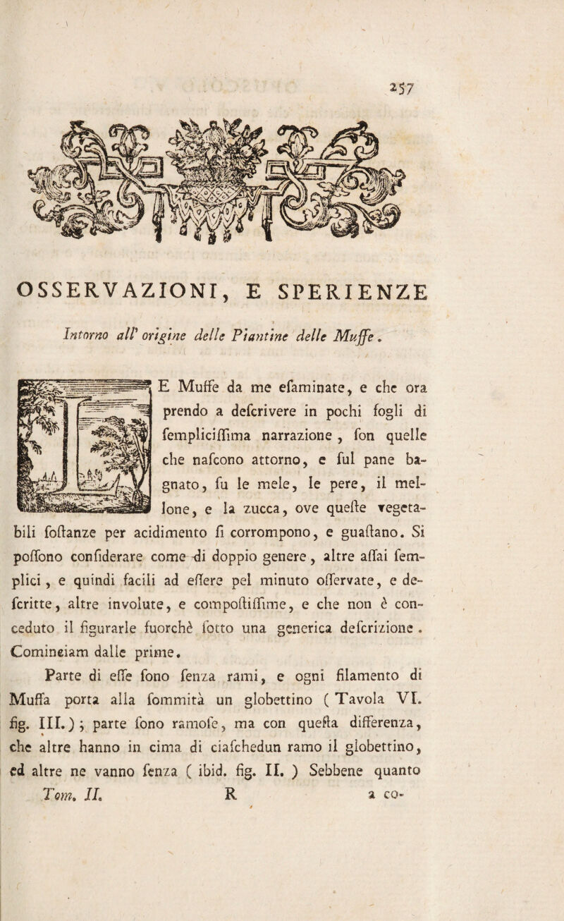 OSSERVAZIONI, E SPERI ENZE Intorno alF origine delle Piantine delle Muffe. - ’ -i' - E Muffe da me efaminate, e che ora prendo a defcrivere in pochi fogli di fempliciffima narrazione , fon quelle che nafcono attorno, e fui pane ba¬ gnato, fu le mele, le pere, il mel¬ lone, e la zucca, ove quelle vegeta¬ bili foftanze per acidimento fi corrompono, e guadano. Si poffono confiderare come -di doppio genere, altre affai 1 em¬ piici , e quindi facili ad edere pel minuto offervate, e de- fcritte, altre involute, e compofìiffime, e che non è con¬ ceduto il figurarle fuorché fotto una generica defcrizione . Comineiam dalle prime. Parte di effe fono fenza rami, e ogni filamento di Muffa porta alla fommità un globettino ( Tavola VL fìg. III.parte fono ramofe, ma con quella differenza, ♦ che altre hanno in cima di ciafchedun ramo il globettino, ed altre ne vanno fenza ( ibid. fìg. IL ) Sebbene quanto Tom, IL R a co t