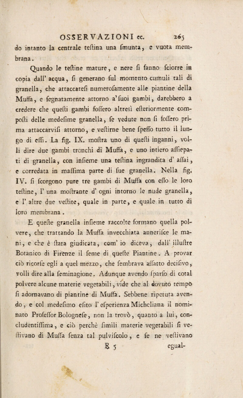 db intanto la centrale tellina una (munta, e vuota mem¬ brana. Quando le tedine mature, e nere fi fanno fciorre in copia dall’ acqua, fi generano fui momento cumuli tali di granella, che attaccateli numerofamente alle piantine della Muffa, e fegnatamente attorno a’Tuoi gambi, darebbero a credere che quelli gambi follerò altresì efleriormente com¬ polli delle medefime granella, fe vedute non fi follerò pri¬ ma attaccarvifi attorno, e vedirne bene fpeffo tutto il lun¬ go di dii. La fig. IX. modra uno di quedi inganni, vol¬ li dire due gambi tronchi di Muffa, e uno intiero adìepa- ti di granella, con infieme una tedina ingrandita d’ aliai, c corredata in mallìma parte di fue granella. Nella fìg. IV. fi fcorgono pure tre gambi di Muffa con elio le loro tedine, 1’ una moftrante d’ ogni intorno le nude granella, e I’ altre due vedite, quale in parte, e quale in tutto di loro membrana . E quede granella inlìeme raccolte formano quella pol¬ vere, che trattando la Muffa invecchiata anneriice le ma¬ ni, e che è data giudicata, corri’ io diceva, dall iiludre Botanico di Firenze il feme di quelle Piantine . A provar ciò ricorfe egli a quel mezzo, che fembrava affatto decilivo, volli dire alla feminagione. Adunque avendo fpario di cotal polvere alcune materie vegetabili, vide che al dovuto tempo fi adornavano di piantine di Muffa. Sebbene ripetuta aven¬ do , e col medelìmo elito T efperienza Micheliana il nomi¬ nato Profefior Bolognefe, non la trovò, quanto a lui, con- cludentidìma, e ciò perchè limili materie vegetabili lì ve¬ nivano di Muffa fenza tal pulvifcolo, e fe ne vedivano B 5 egual-