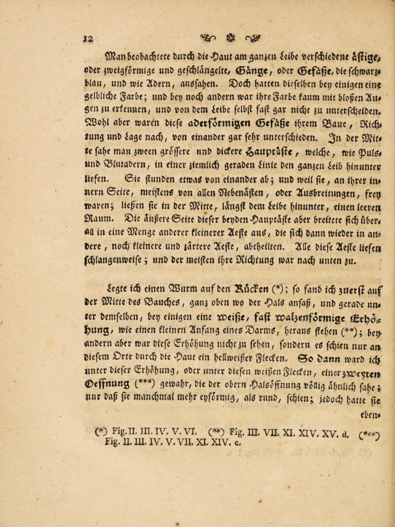 ja tt «m* SKanbeokdjtete burtfe bie.£)aut umgarne» leibe »erfcfjiebene 2fiigf/ «ber ittjcigfermigc unb gefdjlangelte, ©ange, ober ©efäfje, bie feljwnrj* blau, uiib wie 2tbern, ausfahen. JDccf) hatten biefelben bei; einigen ein« Selblidje garbe; wnb bet; nodj anbern war ibregarbe fautn mit blofjen2fu* flen ju erlernten, unb »on bem leibe fclbff fa|f gar mellt }u lmterfdjetbert, SIBobl aber waren biefe aöttformigen ©tfafje ihrem £8aue, Dftcfj* Jung unb läge naef), t>on etnanber gar feljr unterfetjieben. 3<i kr SStif* Jefabe man jween greffere nnb btefere ^aupcSfie, welcfje, wie {puls* unb QJfutabern, in einer siemlicf) geraben linie ben ganjeu leib hinunter liefen. Sie funben etwas von etnanber ab 5 unb weil fte, an il;rer in* »ernSeite, metftens »on allen tüebennfen, ober 2tusbrettungm, freu waren j. liefen fte tn ber {Stifte, lattgf bem leibe hinunter, einen leere» Staunt. 5Dte aufere ©eite btefer betjben ^attptaffe aber breitete fiefj aber* «11 in eine {Stenge attberer fleinerer 2lefe aus, bie jtdj bann wieber tn an» »ere, nod) Heinere unb jartere 2tcfe, abtbetlten. 2tde biefe 2te(Te liefe» fdjlangenweife; unb ber weifen if;re Stiftung war naef) unten ju. legte icf einen 2Bitrm auf ben Söcfett (*); fo fanb tef; jttetff auf »er Sftitte bes QJaudjes, ganj oben wo ber «£>als anfaf, unb gerabe un* rer bemfelbett, bet; einigen eine wtißt, faff xoaljenformige fgxbfo f?ung, wie einen Keinen Anfang eines ©grms, heraus f!ef;en (**); ben «nbern aber war biefe <2rf;eljting nidjt a« fel;en, fonbern es festen nur an »iefem £>rte bnrcfj bie J}aut ein l)ef(wetfer glecfen. @0 Jtamt warb id> unter biefer Erhöhung, ober unter biefen weifen Reefen, einer $x»e^cm Cxffnung (***) gewahr, bie ber obent •palSeffmmg »eilig a(;nlicf) ft^e i Wir traf jie mandjmal trtefjr eiförmig, als rtmb, fefiett; jeboeft hatte j* eben* (*) Kg. II. III. IV. V. VI. (**) Fig. m. VII, XI. XIV. XV. ä. c***i