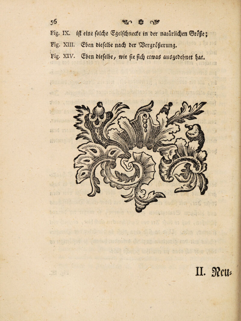 Fig. IX. tf! eine fofdjc ®<jeffdjitecfe tti ber twUrffcBcn ©rojse; Fig. XIII. (£0en &tcfel&c itÄdj t>ex ^ßergrcpermisj. Fig. xiv. ®&cn bitfdh, rote |t< jt$ etro«$ <m$5rtt&n<t fat.