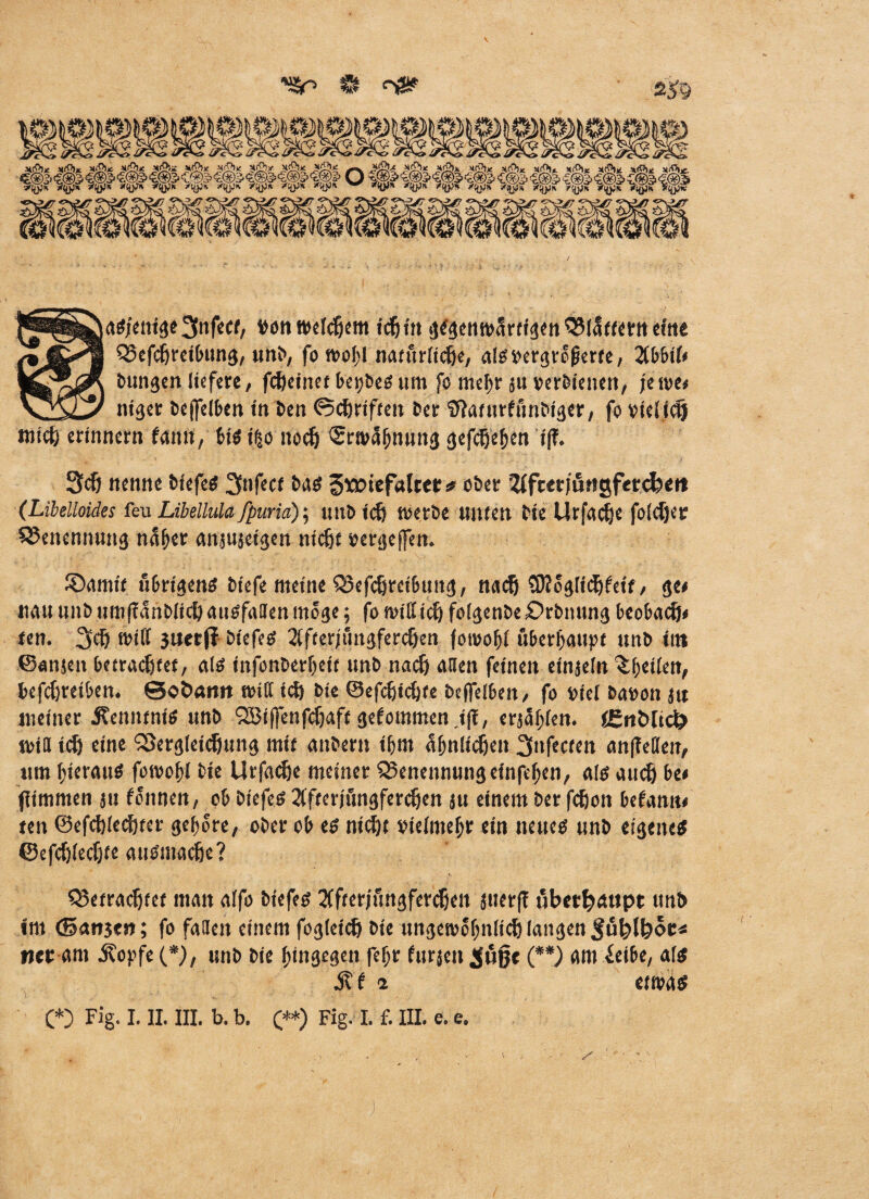 aS/enige^nfecf, von welkem tcfjttt gegenwärtigen flattern eitle QJefeßreibung, unb, fo wot>l natürliche, alsoergrefjerte, 2(bbib bungen liefere, feßeinet beijbesum fo mel)r ju »erbienen, jewc# niger bejfeiben tn Ben ©(griffen ber Sfiaturfunbiger, fo vielicij niicß erinnern fann, bis t$o noeß Srwaßnung gefeßeßen i(f. 3cß nenne biefes 2fnfect bas Swfcfalttt <? ober 2fft<tjungfetd?<rt (Libelloides feu Libelkda fpuria); «ub icß werbe unten bie Urfacße folcßer Benennung n5f>et anjujetgen ntefee oergeffen. £)amif übrigens btefe meine Q5efcßretbuttg, naeß Stfoglicßfet'f, ge< nau nnb um|Ianb(icß ausfaüen möge 5 fo willicß folgenbe £>rbnung beobaeß* fen. 3<ß n>iK 3Wctff bicfeS 2lfterjfmgfercßen jorooljl überhaupt unb int ©anjen feetraeßfet, als infonberljeit unb naeß allen feinen einjeln ^^etiett, befeßreiben. ©obann will icß bie ©efeßießte beffelben, fo oiel baooit jtt meiner Kenntnis unb Sßiffenfdjaft gekommen .i|I, erjäßlen. iEnbltcfr will icß eine ‘iSergleicßung mit anberu ißm afjnltcßen 3nfecten anßellen, um ßierauS fowoßl bie Urfacße meiner Benennung elnfef>en, als aueß be* fiimmen ju fonnen, ob biefes Xfterjftngfercßen ju einem ber feßon bebann« ten ©efcßlecßtcr geßore, ober ob es nießt vielmehr ein neues unb eigenes ©efcßlecßte ausniadje? Q3etracßtet man alfo biefes Sffterjungfercßett jtierfi überhaupt unb im ©angen; fo fallen einem fogleicß bie ungewoßnlicß langen ^ußlßoe* ijec am Äopfe (*j, unb bie hingegen fefjr furjen Söjje (**) am ieibe, als i? i 2 etwas