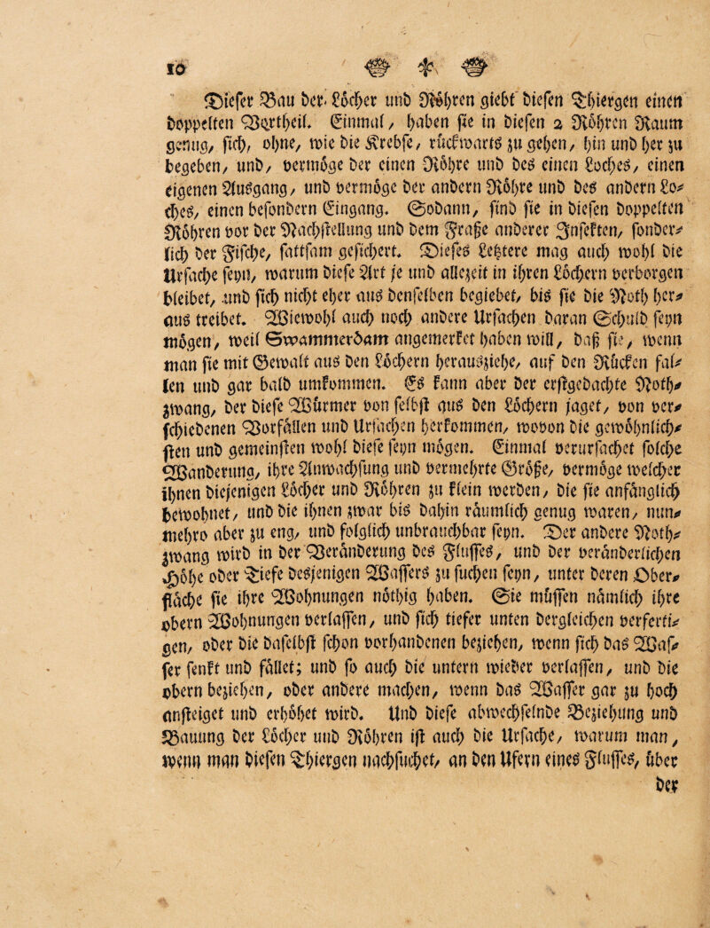 iö W Riefet Q3au ber- ?öcher tmb 0t*»t>tcn giebt biefen $fjiergen einen doppelten <j8(jttf>eif. Einmal / I>aben ftc in biefen 2 flöhten Scannt genug/ ftch, 01)110/ wie bie <j?rebfe / tüchwactg ju gehen/ hin uni) her ;u begeben/ unb/ oetmöge bet einen Ololjre unb beg einen üoeheg/ einen eigenen Sluggang / unb oermöge bet anbern 0vof>rc unb beg anbern £0* djeö/ einen befonbevn Eingang. @obantt/ finb fie inbiefen hoppelten fahren oor bet Sfdc^fteHung unb bem $tajje nnberet 3nfeften/ fonbeiv (ici) bet Sifc^e/ fattfam gefiebert, ©iefeg £e|tere mag auch wohl bie titfad)e fein!/ warum biefe Strt je unb allejcit in if)ten £öd>ern perborgen bleibet/ unb fiel) nicht eher aug benfeiben begiebet/ big fie bie «ftefh l)cr* aug treibet. SBiewol)! and) noch anbere Urfacfxn baran @d;ti!b fepn mögen/ weit ©wammeröam angemetfet haben will, baf fii, wenn man fie mit ©ewalt aug ben Lochern heraugjiehe/ auf ben Siucfen faU len unb gar baib umfommen. E$ fann aber bet erflgebadjte 3?ofh/ jwang/ bet biefe '2Bftrmer Pon feibjl aug ben Söchern jaget, pon per»» febiebenen Sßorfällen unb Uriachen berfommen, wooon bie gewöhnlich/ ften unb gemeinfkn wohl biefe feijn mögen. Einmal perurfachet folche cjBanbmtng/ ihre Sltiwachfung unb permehrte ©röfe, permöge welcher ihnen btejenigen Södjer unb Diöhren jtt flein werben/ bie fie anfänglich bewohnet/ unb bie ihnen jwnt big babin räumlich genug waren, nun/ mehro aber ju eng, unb folglich unbrauchbar fepn. £)et anbere 9}oth/ jwang wirb in ber Q3eränöetung beg glufieg, unb ber peränberlichm »g>6he oöer Briefe begjenigen Stßnfferg 311 fuchen fepn, unter beren £>ber* fläche fie ihre ^Bohnungen nötljtg haben. @ie muffen nämlich ihre pbern ^Bohnungen perlaffen/ unb fidh tiefer unten begleichen perferfi/ gen, ober bie bafelbji fchon porhanbenen bejichen, wenn fleh bag fer fenft unb fället; unb fo auch bie untern wieber perlajfen/ unb bie »bern bejiehen/ ober anbere machen/ wenn bag 2Baffergar ju hoch (tnfieiget unb erhöhet wirb. Unb biefe abwechfelnbe ^esielumg unb Jgatmng ber £öd)cr tmb Ovöhren ifi auch bie Urfache/ warum man/ weim man biefen ^hiergen nachfuchet/ an ben Ufern eineg gfuffeg/ übet ber