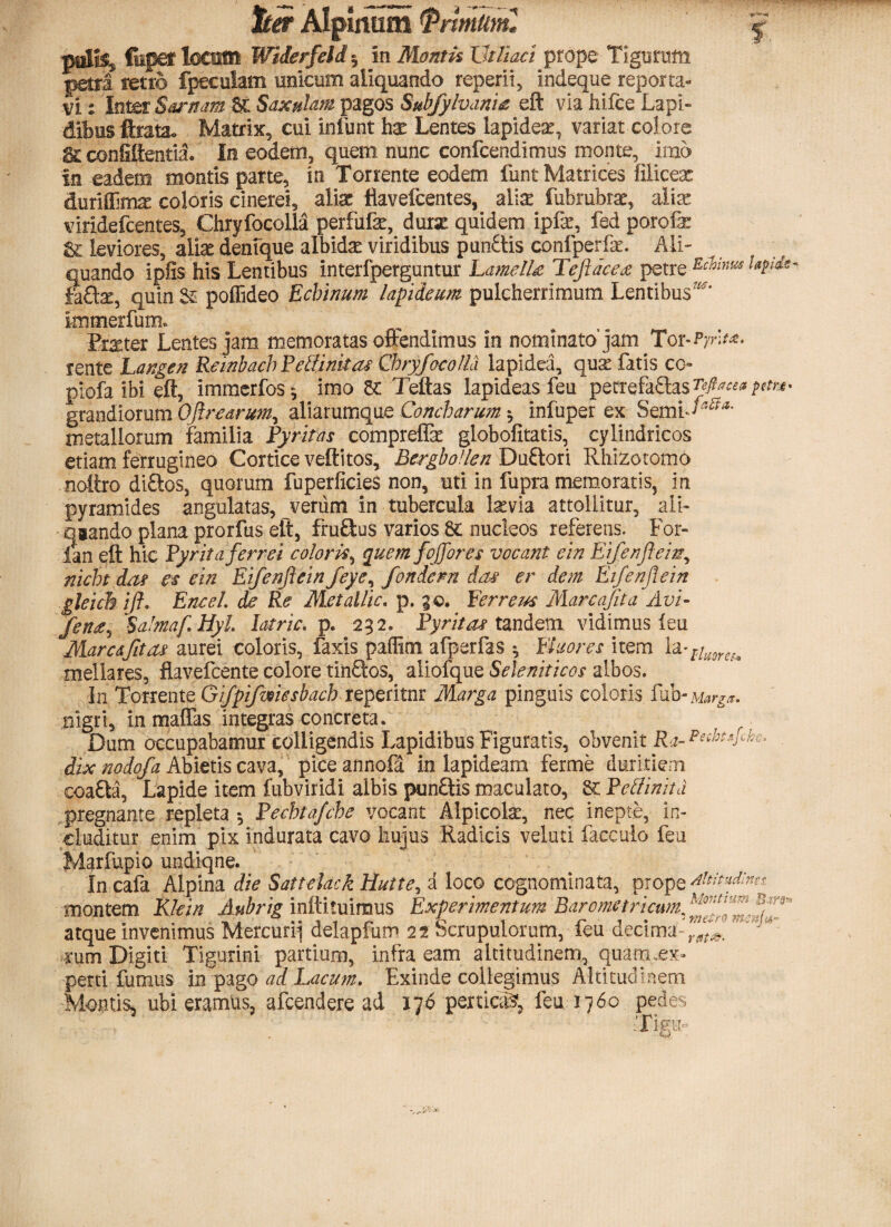 palis, fiupef locutu Widerfeld $ in Montis Vtfiaci prope Tigurum petra retro fpeculam unicum aliquando reperii, indeque reporta¬ vi % Inter Sarnam Saxulum pagos Subfylvanm eft via hifce Lapi¬ dibus ftrata. Matrix, cui infunt ha: Lentes lapideaq variat colore Scconfiltentia. Io eodem, quem nunc confcendimus monte, imo in eadem montis parte, in Torrente eodem funt Matrices fliicear duriffimre coloris cinerei, alias flavefcentes, alise fiibrubrar, aliae viridefeentes, Chryfocolla perfufe, durae quidem ipfe, fed porofe & leviores, alias denfque albidae viridibus punftis confperfe. Ali¬ quando ipfis his Lentibus interfperguntur LamelU Teftace<z petre Echinus Upid* faftz, quin Sc poflideo Echinum lapideum pulcherrimum Lentibus'' Immerfum. Emer Lentes jam memoratas oftendimus in nominato’jam Tor-PyrU*. rente Langen Reinbach Petfinkas Chryfocolla lapidea, qux fatis co- piofa ibi eft, immerfos», imo & Teftas lapideas feu petrefa£lasf#^i>^- grandiorum Ofirearum, aliarumque Concharum * infuper ex Semb^^ metallorum familia Eyritas compreffe globofitatis, cylindricos etiam ferrugineo Cortice veftitos, BergboHen Du&ori Rhizotomo noltro di£los, quorum fuperficieS non, uti in fupra memoratis, in pyramides angulatas, veriim in tubercula laevia attollitur, ali- qaando plana prorfus eft, fruftus varios 8C nucleos referens. For- lan eft hic Pyr it aferrei coloris, quem foffor es vocant e in Eifenftein, nicht dat es ein Eifenjiein feye, fondern das er dem Etfenflein gleich ift. Encel de Re Metallic. p. g©. Ferreus Marcafita Avi- fena, Sahnaf Hyl. latric. p. 232. Pyr it as tandem vidimus leu Mare a fit as aurei coloris, faxis paffitn afperfas ^ Fluores item mellares, flavefeente colore tinftos, aliofque Seleniticos albos. In Torrente Gifpifmesbach reperitnr Marga pinguis coloris fub-M*rg*. nigri, in maffks integras concreta. . Dum occupabamur colligendis Lapidibus Figuratis, obvenit Ra-Pe‘fo*Jc^. dix nodofa Abietis cava, pice annofd in lapideam ferme duritiem coafta, Lapide item fubviridi albis punftis maculato, 8c Pettinita pregnante repleta *, Pechtafche vocant Alpicolaq nec inepte, in¬ cluditur enim pix indurata cavo hujus Radicis veluti facculo feu Marfupio undiqne. Incafa Alpina die SattelackHutte, a loco cognominata, prope Altitudine. montem Klein Aubrig inftituiraus Experimentum Barometricum. ^^5^' atque invenimus Mercurij delapfum 22 Scrupulorum, feu decima- rfit^ rum Digiti Tigurini partium, infra eam altitudinem, quam.ex» perti fumus in pag0 ad Lacum. Exinde collegimus Altitudinem Montis, ubi eramus, afeendere ad 176 pertica^ feu 1760 pedes Tigii»
