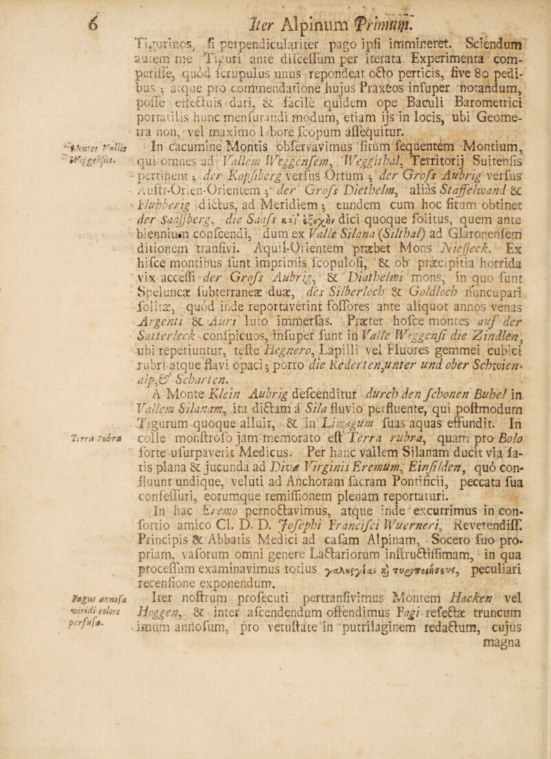 'W-f Tirra Ttiira Ti.*u ^ > rm i OS. Iter Alpinum ^Prhnutft. fi perpepdiculariter pago ipfi immineret. Sciendum amem me Tigun ante difceffum per iterata Experimenta corn- peii0e, quod i crepulus unus repondeat o£to perticis, five 80 pedi¬ bus ; atque pro commendatione hujus Praxeos infuper notandum, polle eiiechns dari, <k facile quidem ope Baculi Barometrici portabilis hunc menfurandi modum, etiam ijs in locis, ubi Geome- ira non, vel maximo labore fcopum affequitur. In cacumine Montis obfervavimus fitum fequentem Montium, Iqui omnes ad Vallem Weggcnfem, Weggiiha!, Territorij Suiteniis • pertinent * der Kapfbergvzrfus Ortum g der Grofs Aubrig verfus ^ultr-Orlen-Orientem p der Grofs Dietbelm, alias Stajfelwand c6C Eluhberig diebus, ad Meridiem •, eundem cum hoc fitum obtinet der Saajjbcrg, die Saafs \%oyjw diei quoque folitus, quem ante biennium confcendi, dum ex Valle Silana (Silthal) ad Gkronenfem ditionem tranfivi. Aquil-Orientem' praebet Mons Niefjeck. Ex hifce montibus funt imprimis fcopulofi, Sc ob prsecipitia horrida vix acceffi der Grofs Aubrig, 'St Diathelmi mons, in quo funt Spelunca! fubterranea: dure, des Silberloch 8£ Goldloch nuncupari folitx, quod inde reportaverint folTores ante aliquot annos venas Argenti Auri \Ao imnaerfas. Praeter hofce montes auf der Satterleck cohfpieuos, infuper funt iri Valle Wrggenji die 'Zindlen, ubi reperiuntur, teRe Hegnero, Lapilli vel Fluores gemmei cubici .rubri atque flavi opaci; porro die Reiert erifititer undober Schvoien* tvpfV Sebari en. btgus mmfa miridi t olore pcrfuft». A Monte Klein Aubrig defcenditur durch den fcbonen Bubel in Vadem Silanam, ita cliftam a Sila fluvio perfluente, qui poftmodum Ti gurum quoque alluit, & in Idmagum fuas aquas effundit. In colle monftrofo jam 'memorato Ai Terra rubra, quam proBolo forte ufurpaverit Medicus. Per hanc vallem Silanam ducit via fa¬ tis plana & jucunda ad Diva Virginii Eremum, Ewfifden5 quo con¬ fluunt undique, veluti ad Anchoram facram Pontificii, peccata fua confeffuri, eorumque remiffionem plenam reportaturi. In hac Eremo pernoctavimus, atque inde*excurrimus in.cori- fortio amico Cl. D. D. Jofepbi Erancifci Wuerneri, ReverendifT. Principis & Abbatis Medici ad cafam Alpinam, Socero fuo pro¬ priam, vaforum omni genere LaCtariorum inftruCtiffimam, in qua proceffum examinavimus totius yeth^yixs $ ipeculiari recenfione exponendum. Iter noftrum profecuti pertranfivimus Montem Hacken vel Hoggenr Sc inter afcendendum offendimus Fagi refeCtae truncum imum anhofum, pro vetuftate in putrikginem redaftum, cujus magna