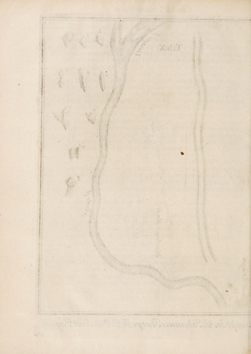 ?! Ii I ' 4 ... jj Y. 1 . -t < 7^ -<• l j ■ V f'v ' I . ? V'- tl i ■ ■< / ; f '/ A , ’ ^ t.:.. /’ «£.•> - ‘ 1 i / ; / ,./ ■ ■i? •r »\ ifrt i I • “f ?,v «■ i r / ...» ■ . ; i> . \ ■ ■ M it f' ; ii ■. ■ • * ■ •• f - 4 # i: > • • *■' ... ■ . . : ■ • ~--.v / • , 'i. , 'v. 'i * v > \ \ : 1 t