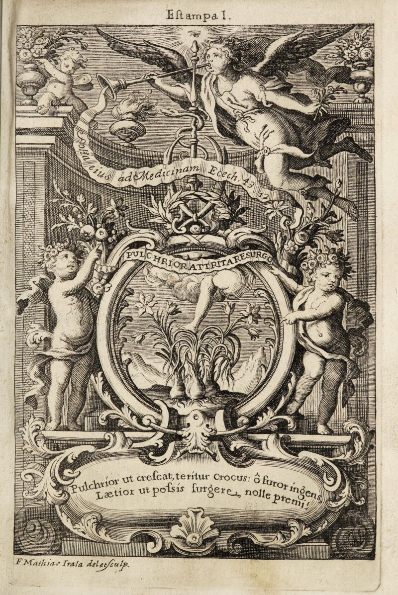 fcat,terrtur Crocus FNCttth tas Itala m .iiHtJlllimiiiiiiiiiiitir