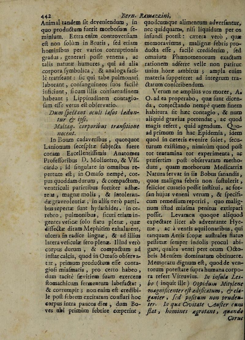 Animal tandem fit deveniendam , in qaodcamqae alimentum advertentur, quo producam fuerit morbofiiai fe¬ mini um. Extra enim controverfiam eft non foium in Brutis, fcd etiam hominibus per varios corruptionis gradus > generari pofie venena , ac talis naturae humores 5 qui ad alia corpora fymboiica , & analoga faci- le tranfeant: fic qui tabe jpulmonari laborant, confanguineos uaos facile inficiunt, ficum iliis confuetudinem habeant 5 Lippitudinem contagio- fam eiTe vetus eft oblervatio. 'Dum[pectant oculi Ufos Udun~ tur & ipfh Multaq. 'corporibus tranflitione nocent. In Boum cadaveribus, quotquot Lanionum fecefpicae fubjeda fuere coram Exccllendflimis Anatomes Profefforibus fb Moliuetro, & ViC cardo j id fingulare in omnibus re¬ pertum eft, in Omafo nempe, cor¬ pus quoddam durum , Si compadum, ventriculi parietibus fortiter adhae¬ reas # magnas molis , & intoleran¬ das grave olentis j in aliis vero parti¬ bus repertas fune hydachides» in ce¬ rebro , pulmonibus, ficuti etiam in¬ gentes veficas folo flatu plena: , quz diffedae diram Mephititn exhalarent, ulcera in radice linguas, & ad illius latera veficulas fero plenae. Illud vero corpus durum , & compadum ad inftar calcis, quod in Omafo obferva- tur , primum produdui» eife conta¬ gio fi miafixuds , pro certo habeo, dum tacite fas vitiem faaw exercens ftomachicum fermentum iabcfadtt , & corrumpit 5 non enim eft eredibi- nec quidquamo, nifi liquidum per os infundi poteft: cetera vero , quas memoravimus , malignas febris pro- duda efle , facile crediderim , fcd omnium Phaenomenorum exadam rationem adferre velle non patitur unius horas ambitus $ ampla enim materia fuppeterct ad integrum tra- datum confcribendum. Verum nc amplius vos morer, A« O.ad ca properabo, quas fune dicen¬ da , conjedando nempe quem finem habitura fit haec contagio , & num aliquid gravius portendat, ac quod magis refert, quid agendum. Q^o- ad primum in hac Epidemia, idem quod in caeceris evenire folet, fecu- turum exiftimo , nimirum quod poft tot tentamina tot experimenta , ac prsefcrtim poft obfervaram metho¬ dum , quam morborum Medicacris Natura fervat in iis Bobus fanandis, quos maligna febris non fuftulerit, felicior curatio poflit infticui, ac for- fan hujus veneni verum , & fpecifl- cutn remedium reperiri, quo malig¬ num iftud miafina penitus extirpari poflit. Levarsca quoque aliquod expedarc licet ab adventante Hye- me , ac a ventis aquilonaribus, qui tanquam Aeris icopae auftralcs flatu» peflimx fernpcr indolis procul abi¬ gant, quales venti pert otum Odo- brh Menfcm dominatum obtinuere. Memoratu dignum eft, quod de ven¬ torum porcftate fupra humana corpo¬ ra refert Vitruvius. In infuU Les- bo ( inquit ille) Oppidum Mitylene magnificenter ejl aiificatum, &eU* le poft febrem excitatam coaflari hoc gmter » fed pofitum non vruden corpus intra paucos die* , dum Bo- ter* In qua Civitate ^Aufter cum ves ubi primum febrire ccepcrinc, flat, homines agrotant, quando Corus