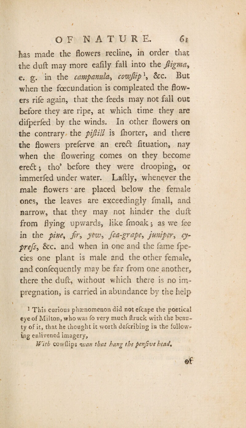 has made the flowers recline, in order that the duft may more eafily fall into the ftigma, e. g. in the campanula, cowjlip \ &c. But when the feecundation is compleated the flow¬ ers rife again, that the feeds may not fall out before they are ripe, at which time they are difperfed by the winds. In other flowers on the contrary the piftill is fhorter, and there the flowers preferve an eredt fituation, nay when the flowering comes on they become eredt; tho* before they were drooping, or immerfed under water. Laftly, whenever the male flowers * are placed below the female ones, the leaves are exceedingly fmall, and narrow, that they may not hinder the duft from flying upwards, like fin oak; as we fee in the pine, jdr, yew, fea-grape, juniper, cy- prefs, &c. and when in one and the fame fpe- cies one plant is male and the other female, and confequently may be far from one another, there the duft, without which there is no im¬ pregnation, is carried in abundance by the help 1 This curious phenomenon did not efcape the poetical eye of Milton, who was fo very much ftruck with the beau¬ ty of it, that he thought it worth defcribing in the follow¬ ing enlivened imagery. With cow dips wan that hang ths penjivs head*