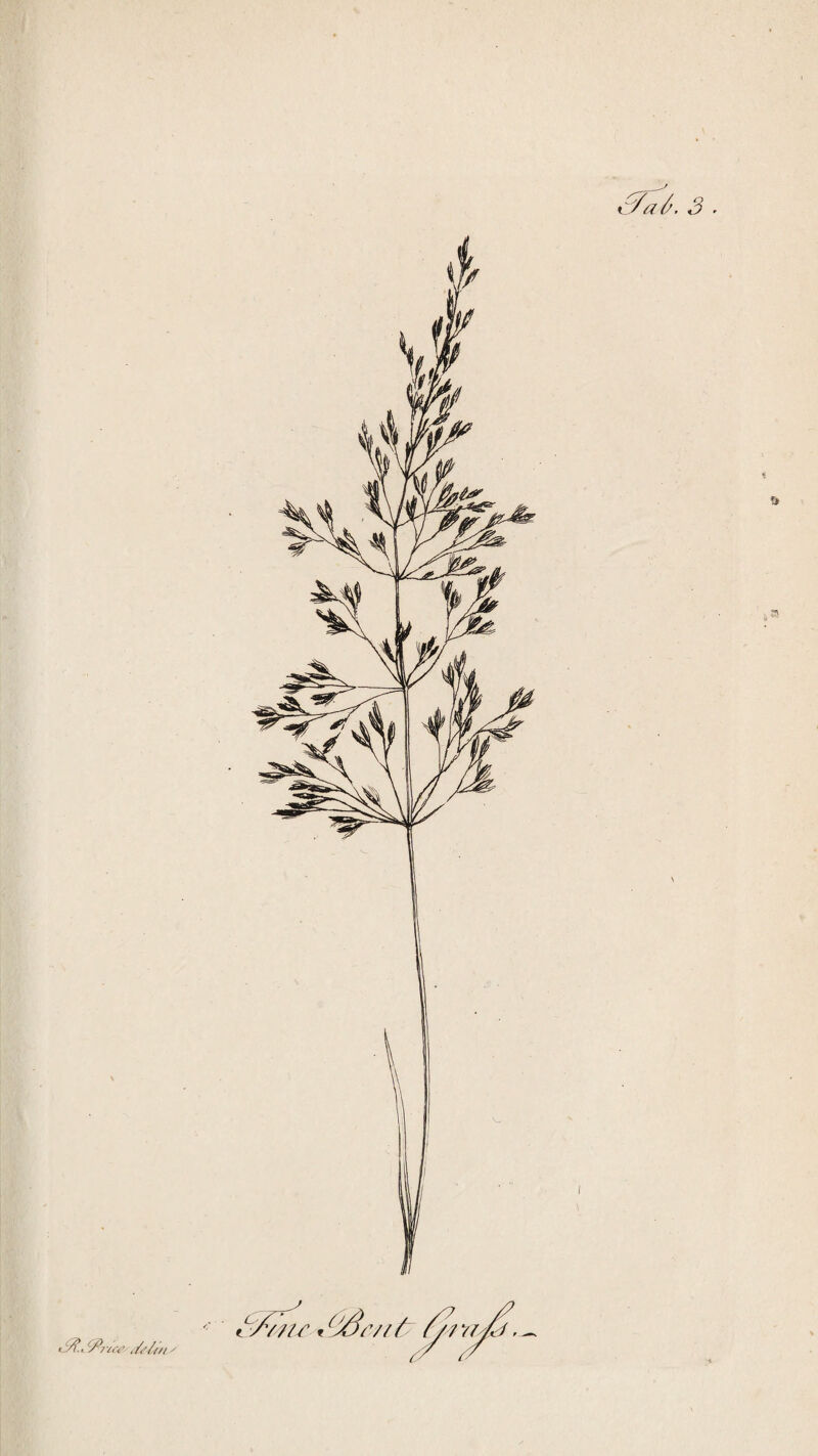 . . c t iff, Affria?- deZf/i /