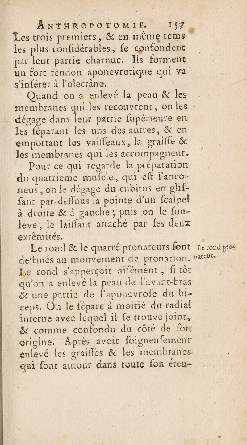 A les trois premiers, ôc en meme tems les plus confidérables, fe confondent par leur partie charnue. Ils forment un fort tendon aponevrotique qui va s’inférer à i’oiecrâne. Quand on a enlevé la peau & les membranes qui les recouvrent, on les dégage dans leur partie fu-périeure en les féparant les uns des autres, 6c en emportant les va idéaux, la graille &c les membranes qui les accompagnent^ Pour ce qui regarde la préparation du quatrième mufcle, qui eft banco- îieus, on le dégage du cubitus en glif- faut par-de (Tous la pointe d’un fcalpel à droite Ôc a gauche ; puis on le fou- leve, le îailfant attaché par les deux exrêmités. Le rond & le quarré pronateurs font deftinés au mouvement de pronation. Le rond s’apperçoit aifément 5 fi tôt qu’on a enlevé Sa peau de l’avant-bras & une partie de l’aponevrofe du bi¬ ceps. On le fépare à moitié du radial interne avec lequel il fe trouve joinrfl ôf comme confondu du côté de ion origine. Après avoir foigneufenienr enlevé les graiffes 6c les membranes qui font autour dans toute Ion et eu-