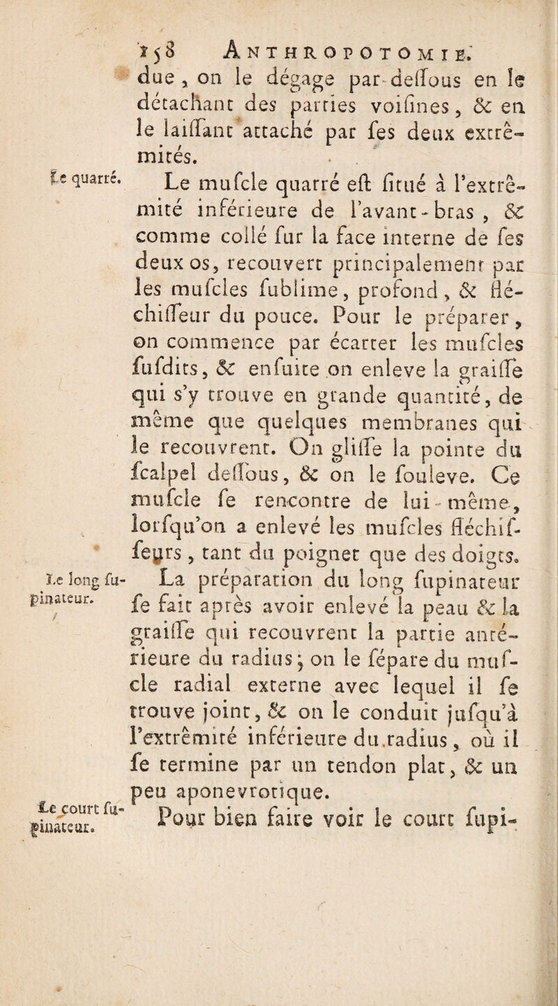 f.e quarré. i Le long fu pinstêur. lej:ourc fu- fiaateur. î 5 8 A N T H R O P O T O M I E. due , on le dégage par delfous en le détachant des parties voifmes, 8c en le iaiifant attaché par fes deux extré¬ mités. Le mufcle quarré eft fitué à l’extré¬ mité inférieure de l’avant - bras , 8c comme collé fur la face interne de fes deux os, recouvert principalement par les mufcles fubiime, profond, 8c lié- chilfeur du pouce. Pour le préparer, on commence par écarter les mufcles fufdits, 8c en fuite on enleve la graillé qui s’y trouve en grande quantité, de même que quelques membranes qui le recouvrent. On gîilfe la pointe du Icaipel dellous, 8c on le fouleve. Ce mufcle fe rencontre de lui même, lorfqu on a enlevé les mufcles fléchiL- fe^rs, tant du poignet que des doigts. La préparation du long fupinateur fe fait après avoir enlevé la peau & la graille qui recouvrent la partie anté¬ rieure du radius; on le fépare du muf¬ cle radial externe avec lequel il fe trouve joint, 8c on le conduit jufqu’à rextrêmiré inférieure du.radius, où il fe termine par un tendon plat, 8c un peu aponevronqne. Pour bien faire voir le court fupi-