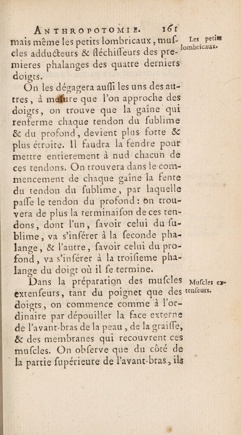 mais même les petits lombricaax, muf- L^s. Petl® clés adduéteurs & fléchiffeurs des pre¬ mières phalanges des quatre derniers doigts. On les dégagera aufifi les uns des au¬ tres, à mefure que Ton approche des doigts, on trouve que la gaine qui renferme chaque tendon du fublime & du profond, devient plus forte 5c plus étroite. 11 faudra la fendre pour mettre entièrement à nud chacun de ces tendons. On trouvera dans le com¬ mencement de chaque gaine la fente du tendon du fublime, par laquelle pafTe le tendon du profond: on trou¬ vera de plus la rerminaifon de ces ten¬ dons, dont l’un, favoir celui du fu- blime, va s’inférer à la fécondé pha¬ lange, 6c l’autre, favoir celui du pro¬ fond, va s’inférer à la troifieme pha¬ lange du doigt où il fe termine. Dans la préparation des mufcles Mufdes e* extenfeurs, tant du poignet que des tenfeurs- doigts, on commence comme à l’or¬ dinaire par dépouiller la face externe de l’avant-bras de la peau , de la graille, & des membranes qui recouvrent ces mufdes. On obferve que du coté de la partie fupérieure de l’avant-bras 5 ils