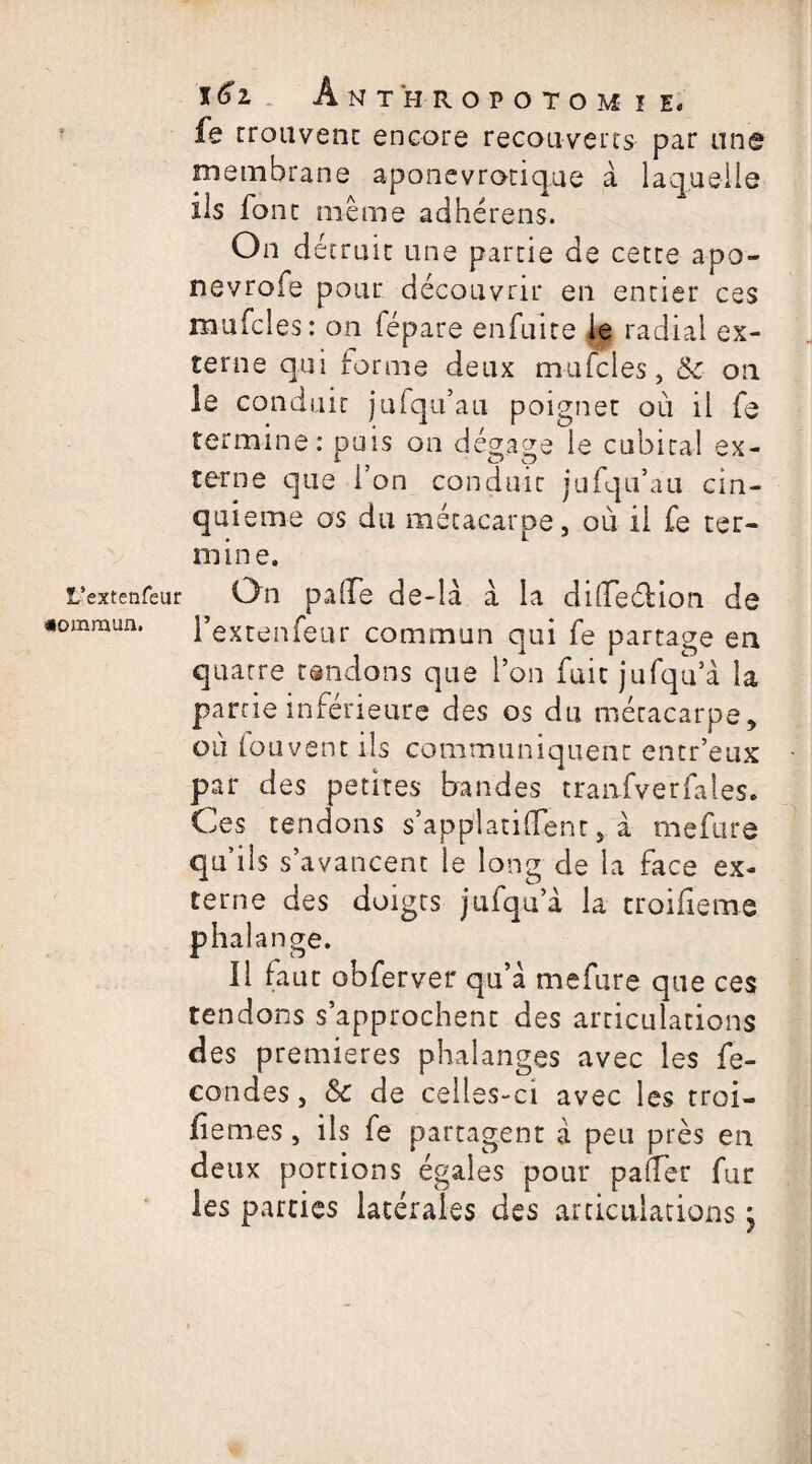l’extenfeur «omraun. %6i . A nt'hropotom î e, fe trouvent encore recouverts par une membrane aponevrotique à laquelle ils font même adhérens. On détruit une partie de cette apo- nevrofe pour découvrir en entier ces mufcîes: on fépare enfuite le radial ex¬ terne qui forme deux mufcles, & on le conduit jufqu’au poignet où il fe termine: puis on dégage le cubital ex- terne que 1 on conduit jufqu’au cin¬ quième os du métacarpe, où il fe ter¬ mine. On pade de-là à la chdeéUon de l’extenfeur commun qui fe partage en quatre tancions que l’on fuit jufqu’à la partie inférieure des os du métacarpe, où (cuvent ils communiquent entr’eux par des petites bandes tranfverfales. Ces tendons s’applatiffenr, à mefure qu’ils s’avancent le long de la face ex¬ terne des doigts jufqu’à la troiüeme phalange. 11 faut obferver qu’à mefure que ces tendons s’approchent des articulations des premières phalanges avec les fé¬ condés , &c de celles-ci avec les troi- fiemes, ils fe partagent à peu près en deux portions égales pour palier fur les parties latérales des articulations j