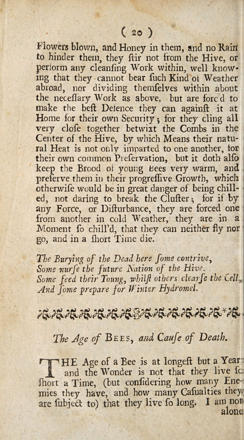 to hinder them, they ftir not from the Hive, or perform any cleanfing Work within, well know¬ ing that they cannot bear fuch Kind ot Weather abroad, nor dividing themfelves within about the neceflary Work as above, but are fore d to make the beft Deience they can againft it at Home for their own Security $ for they cling all very clofe together betwixt the Combs in the Center of the Hive, by which Means their natu¬ ral Heat is not only imparted to one another, tor their own common Prefervation, but it doth alfo keep the Brood of young Bees very warm, and preferve them in their progreffive Growth, which otherwife would be in great danger of being chill- ! ed, not daring to break theClufter^ for if by any Force, or Difturbance, they are forced one from another in cold Weather, they are in a Moment fo chill’d, that they can neither fly nor go, and in a fhort Time die. The Burying of the Dead here fome contrive, Some vurfe the future Nation of the Hive. Some feed their Toung, whilji others clearfe the CellJ And fome prepare for Winter Hydromel. The Age of Bees, and Caitfe of Death. ripHE Age of a Bee is at longeft but a Year Jl and the Wonder is not that they live fc fhort a Time, (but confidering how many Ene¬ mies they have, and how many Cafualties they are fubjed to) that they live fo long. I am not alone