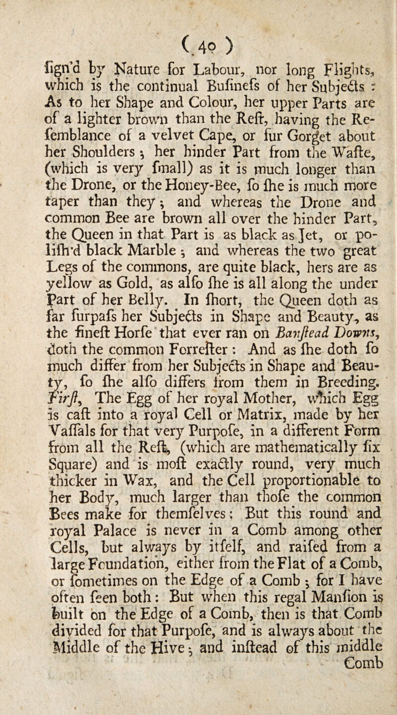 (.49 ) figna by Nature for Labour, nor long Flights, which is the continual Bufinefs of her Subjeds ■ As to her Shape and Colour, her upper Parts are of a lighter brown than the Reft, having the Re- femblance of a velvet Cape, or fur Gorget about her Shoulders •, her hinder Part from the Wafte, (which is very fmall) as it is much longer than the Drone, or the Honey-Bee, fo fhe is much more taper than they and whereas the Drone and common Bee are brown all over the hinder Part, the Queen in that Part is as black as Jet, or po- lifh'd black Marble •, and whereas the two great Legs of the commons, are quite black, hers are as yellow as Gold, as alfo fhe is all along the under Part of her Belly. In fhort, the Queen doth as far furpafs her Subjeds in Shape and Beauty, as the fineft Horfe that ever ran on Banfiead Downs, doth the common Forrefter : And as fhe doth fo much differ from her Subjeds in Shape and Beau¬ ty, fo fhe alfo differs from them in Breeding. f'irj?, The Egg of her royal Mother, which Egg is caft into a royal Cell or Matrix, made by her Vaffals for that very Purpofe, in a different Form from all the Reft, (which are mathematically fix Square) and is moft exadly round, very much thicker in Wax, and the Cell proportionable to her Bod}'-, much larger than thofe the common Bees make for themfelves; But this round and royal Palace is never in a Comb among other Cells, but always by itfelf, and raifed from a large Foundation, either from the Flat of a Comb, or fometimes on the Edge of a Comb •, for I have often feen both: But when this regal Manfion is built on the Edge of a Comb, then is that Comb divided for that Purpofe, and is always about the Middle of the Hive •, and inftead of this middle Comb