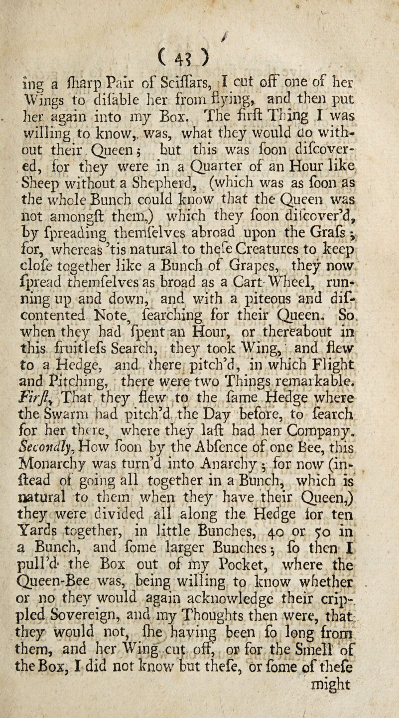 0 ( 4? ) ' ine a fharp Pair of Sciffars, I cot oft one of her Wings to difable her from flying, and then put her again into my Box. The flrft Thing I was willing to know,, was, what they would do with¬ out their Queen; but this was foon difcover- ed, for they were in a Quarter of an Hour like Sheep without a Shepherd, (which was as foon as the whole Bunch could know that the Queen was not amongft them,) which they foon discover’d, by fpreading themfelves abroad upon the Grafs ; for, whereas ’tis natural to thefe Creatures to keep clofe together like a Bunch of Grapes, they now fpread themfelves as broad as a Cart-Wheel, run¬ ning up and down, and with a piteous and dis¬ contented Note, fearching for their Queen. So when they had fpent an Hour, or thereabout in this frujtlefs Search, they took Wing, and flew to a Hedge, and there pitch’d, in which Flight and Pitching, there were two Things remarkable. FirJIy That they flew to the fame Hedge where the Swarm had pitch’d the Day before, to fearch for her there, where they laft had her Company. Secondly, How foon by the Abfence of one Bee, this Monarchy was turn’d into Anarchy ; for now (in- ftead of going all together in a Bunch, which is natural to them when they have their Queen,) they were divided all along the Hedge for ten Yards together, in little Bunches, 40 or 50 in a Bunch, and fome larger Bunches •, fo then I pull’d- the Box out of my Pocket, where the Queen-Bee was, being willing to know whether or no they would again acknowledge their crip¬ pled Sovereign, and my Thoughts then were, that they would not, fire having been fo long from them, and her Wing cut off, or for the Smell of the Box, I did not know but thefe, or fome of thefe might