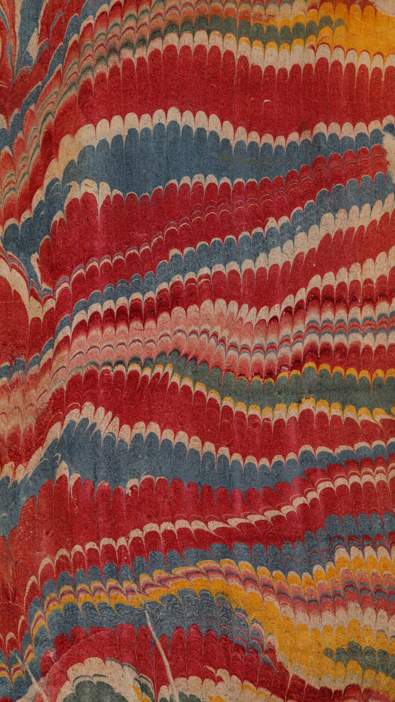 No text description is available for this image