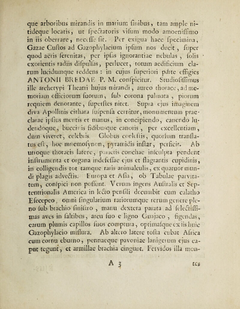 que arboribus mirandis in marium finibus, tam ample ni- tideque locaris, uc fpectatoris vifum modo amoeniflimo in iis oberrare j neccffe fir. Per exigua haec fpeciinina, Gazae Cuftos ad Gazophylacium ipfum nos ducit , fuper quod aeris ferenitas, per ipfas ignorantiae nebulas , Tolis * exorientis radiis difpiflfas, perlucet, totum aedificium cla¬ rum lucidumqne reddens : in cujus fuperiori pdrte effigies ANTONII BREDAE P. M. confpicitur. Studiofiffimus ille archetypi Theatri hujus mirandi, aureo thorace, ad me¬ moriam officiorum Tuorum, fub corona palmata , piorum requiem denotante, Tuperftcs nitet. Supra ejus imaginem diva Apollinis cithara luipenfa cernitur,monumentum prae¬ clarae ipfius mentis et manus, in concipiendo, canendo hi* dendoque, bucciris fidibusque canoris , per excellentiam, dum viveret, celebris. Globus coeleftis, quoilum tranfla- tus eft , hoc mnemolynon, pyramidis infiar, perficit. Ab utroque thoracis latere, panctis conchae iniculpta pendent inltrumenta et organa indefeffae ejus et flagrantis cupidinis, in colligendis tot tamque raris animalculis, ex quatuor mun¬ di plagis adveSis. Europa et Afia, ob Tabulae parvita¬ tem, conipici non pofTunt. Verum ingens Auflralis et Sep¬ tentrionalis America in lecto penfili decumbit cum calatho E fece pe o , omni lingularium rariorumque rerum genere ple¬ no fub biachio finifiro , manu dextera parata ad felecfiffi- mas aves in faltibus, arcu fuo c ligno Guajaco , figendas, earum plumis capillos firos comptura, oprimafqtiecx iis huic Gazophylacio miflura. Ab altero latere tofia cubat Africa cum cornu eburno, pennaeque pavoniae lanigcium ejus ca¬ put tegunt, et armillae brachia cingunt. Fervidos illa mon-