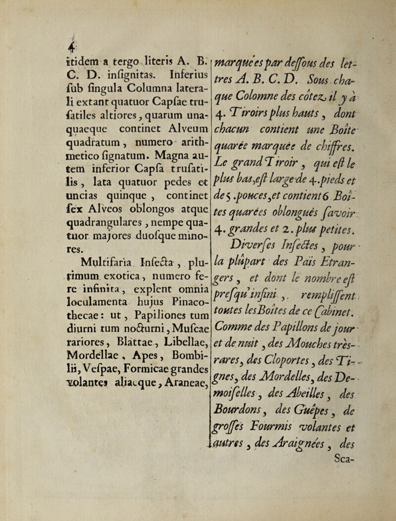 itidem a tergo literis A. B. C. D. infignitas. Inferius fub fingula Columna latera¬ li extant quatuor Capfae tru- fatiles altiores, quarum una¬ quaeque continet Alveum quadratum , numero arith¬ metico fignatum. Magna au¬ tem inferior Capfa trufati- lis, lata quatuor pedes et uncias quinque , continet fex Alveos oblongos atque quadrangulares, nempe qua¬ tuor majores duofque mino¬ res. Multifaria Infeûa , plu- fimum exotica, numero fe¬ re infinita , explent omnia loculamenta hujus Pinaco¬ thecae: ut, Papiliones tum diurni tum no&urni, Mufcae rariores, Blattae, Libellae, Mordellae , Apes, Bombi- lii, Vefpae, Formicae grandes T&plantçs aliaeque , Araneae, marquées par dejfous des let¬ tres A. B. C.D, Sous cha¬ que Colomne des cotezj il y à 4. Tiroirs plus hauts , dont chacun contient une Boîte quarée marquée de chiffres. Le grand T iroir , qui e(l le plus bas^efi large de 4..pieds et de 5 .pouces,et contient6 Boî¬ tes quarées oblonguès favoir 4. grandes et 2. plus petites. Diverfes Infeëtes , pour • la plupart des Pais Etran¬ gers , et dont le nombre ejl prefqu infini ,. remplirent. toutes lesBoîtes de ce Cabinet. Comme des Papillons de jour et de nuit , des Mouches très- rares 5 des Cloportes, des Ti- - gnesy des Mordéliés , des De- moifelles, des Abeilles, des Bourdons , des Guêpes, de greffes Fourmis volantes et autres 3 des Araignées, des Sca-