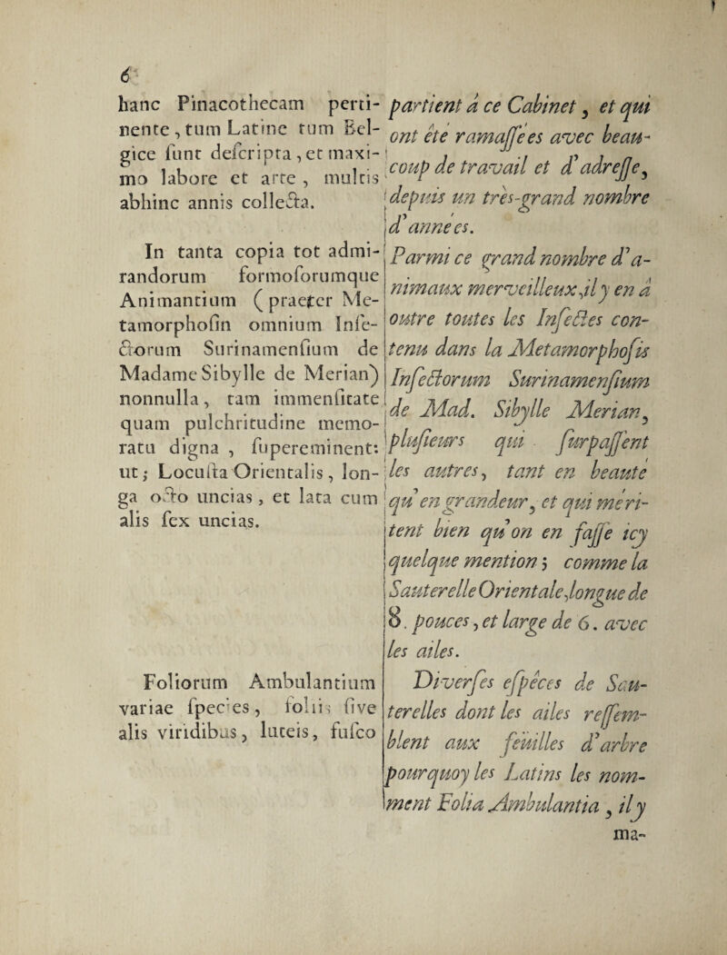 hanc Pinacothecam perti¬ nente , tum Latine tum Bel¬ gice funt deferipta , et maxi¬ mo labore et arte , mains abhinc annis collefta. In tanta copia tot admi¬ randorum formoforumque Animantium ( praefer Me- tamorphofin omnium Infe- ôorum Surinamenfium de Madame Sibylle de Merian) nonnulla, tam immenfitate quam pulchritudine memo¬ ratu digna , fu peremi nent: ut,- Locufta Orientalis, lon¬ ga orlo uncias, et lata cum alis fex uncias. Foliorum Ambulantium variae fpec^es, loliis five alis viridibus, luteis, fufeo partient a ce Cabinet, et qui ont été ramaJJ'ees avec beau¬ coup de travail et £ adrejje3 depuis un très-grand nombre £ années. Parmi ce grand nombre £d- nimaux merveilleux £)' en a outre toutes les Infeéîes con¬ tenu dans la Metamorphofis Infeâorum Surinamenfium de jMad. Sibylle Merian3 \plufieurs qui furpajjent les autres, tant en beaute j qu engrandeur5 et qui méri¬ tent bien qu on en fajje icy quelque mention 5 comme la Sauterelle Orient ale ^longue de 8. pouces, et large de 6. avec les ailes. Diverfes efpéces de Sau¬ terelles dont les ailes reSem¬ blent aux feuilles d'arbre pourquoy les Latins les nom¬ ment Folia Ambulantia , il y ma-
