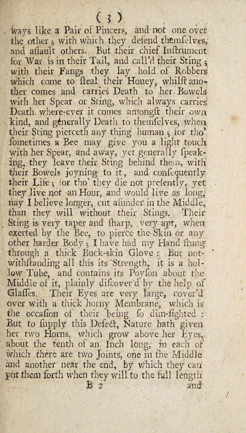 ivays like a Pair of Pincers, and not one oyer the other * with which they defend thtmfelves, and afiault others. But their chief InRrument for War is in their Tail, and call’d their Sting * with their Fangs they lay hold of Robbers which come to Real their Honey, whilltano¬ ther comes and carries Death to her Bowels with her Spear or Sting, which always carries Death, where-ever it comes arrSongft their own kind, and generally Death to themfelves, when their Sting pierceth any thing human * for tho5 fometimes a Bee may give }rou a light touch with her Spear, and away, yet generally fpeak- ing, they leave their Sting behind them, with' their Bowels joyning to it, and coiifequently their Life * tor tho’ they die not prelently, yet they live not an Hour, and would live as long,- nay I believe longer* cut afuncler in the Middle, than they will without their Stings. Their Sting is very taper and fharp, very apt, when exerted by the Bee, to pierCe the-Skin or any other harder Body * I have had my Hand Rung through a thick Buck-skin Glove But net- WithRanding all this its'Strength, it is a hol¬ low Tube, and contains its Poyfon about the Middle of it, plainly difcover d by the help of Glafles, Their Eyes are very large, cover’d over with a thick horny Membrane, ‘ which is flie occafion of their being fo dim-lighted : But to Ripply this Defect, Nature hath given her two Horns, Which grow above her Eyes, about the tenth of an Inch long, in each of Which there are two Joints, one in the Middle and another near the end, by which they can put them forth when they will to the full length B' 2 a n d'