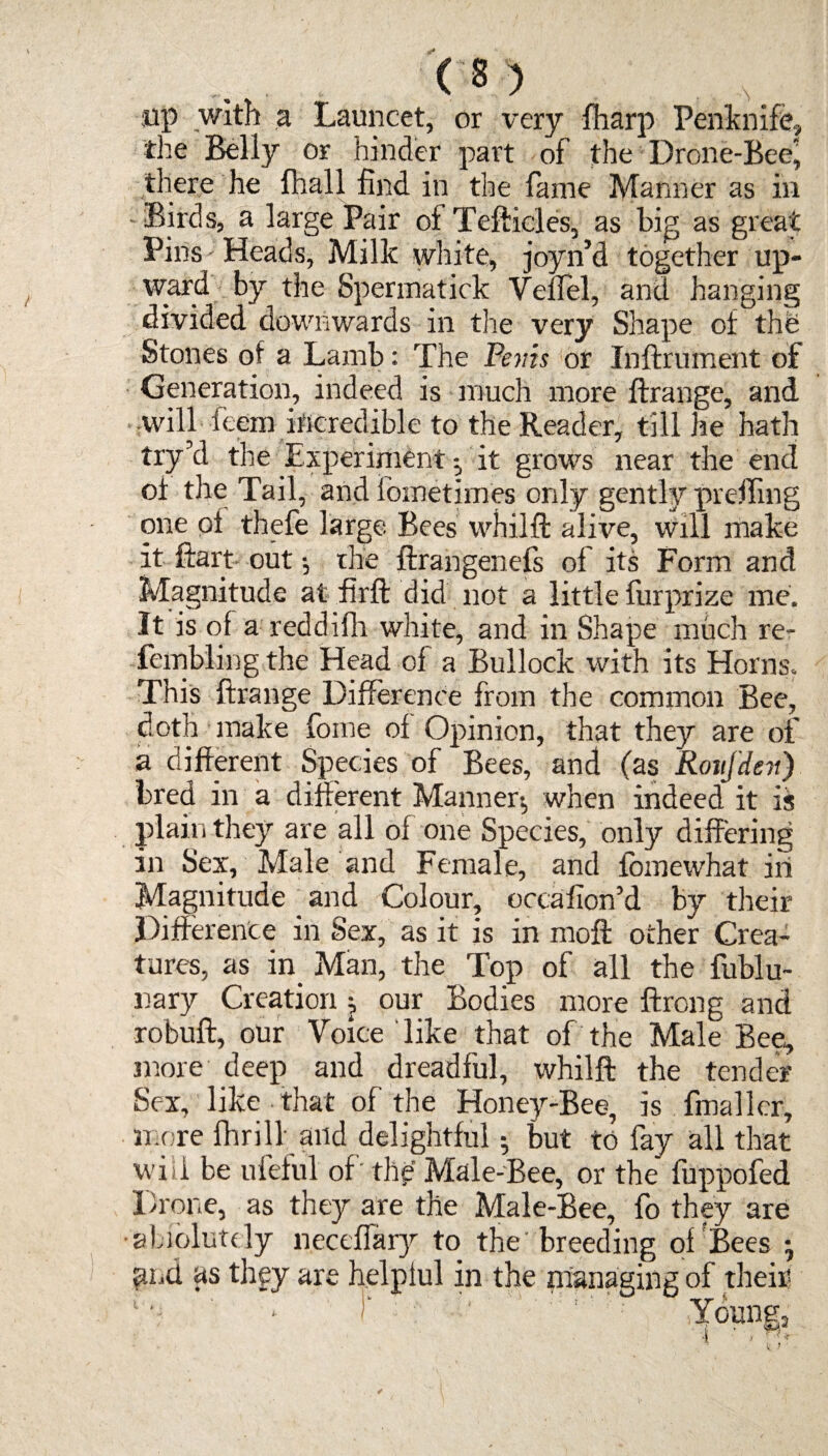 lip with a Launcet, or very fharp Penknife, the Belly or hinder part of the Drone-Bee' there he fhall find in the fame Manner as in Birds, a large Pair of Tefticles, as big as great Pins Heads, Milk white, joyn’d together up¬ ward by the Spermatick VelTel, and hanging divided downwards in the very Shape of the Stones of a Lamb: The Penis or Inftrument of Generation, indeed is much more ftrange, and will feem incredible to the Reader, till he hath try’d the Experimentit grows near the end of the Tail, and fometimes only gently prefling one of thefe large Bees whilft alive, will make it ftart out; the ftrangenefs of’ its Form and Magnitude at firft did not a little furprize me, It is of a reddifli white, and in Shape much re- fembling the Head of a Bullock with its Horns. This ftrange Difference from the common Bee, doth make fome of Opinion, that they are of a different Species of Bees, and (as Roiijdeii) bred in a different Manner-, when indeed it is plain they are all of one Species, only differing in Sex, Male and Female, and fomewhat in Magnitude and Colour, occafion’d by their Difference in Sex, as it is in moft other Crea¬ tures, as in Man, the Top of all the fublu- nary Creation our Bodies more ftrong and robuft, our Voice like that of the Male Bee, more deep and dreadful, whilft the tender Sex, like that of the Honey-Bee, is fmaller, more fhrill and delightful; but to fay all that will be ufeful of' the Male-Bee, or the fuppofed Drone, as they are the Male-Bee, fo they are •aliblutdy neceffary to the'breeding of Bees ^ pud as they are helpful in the managing of their ! ; ' ' Young,