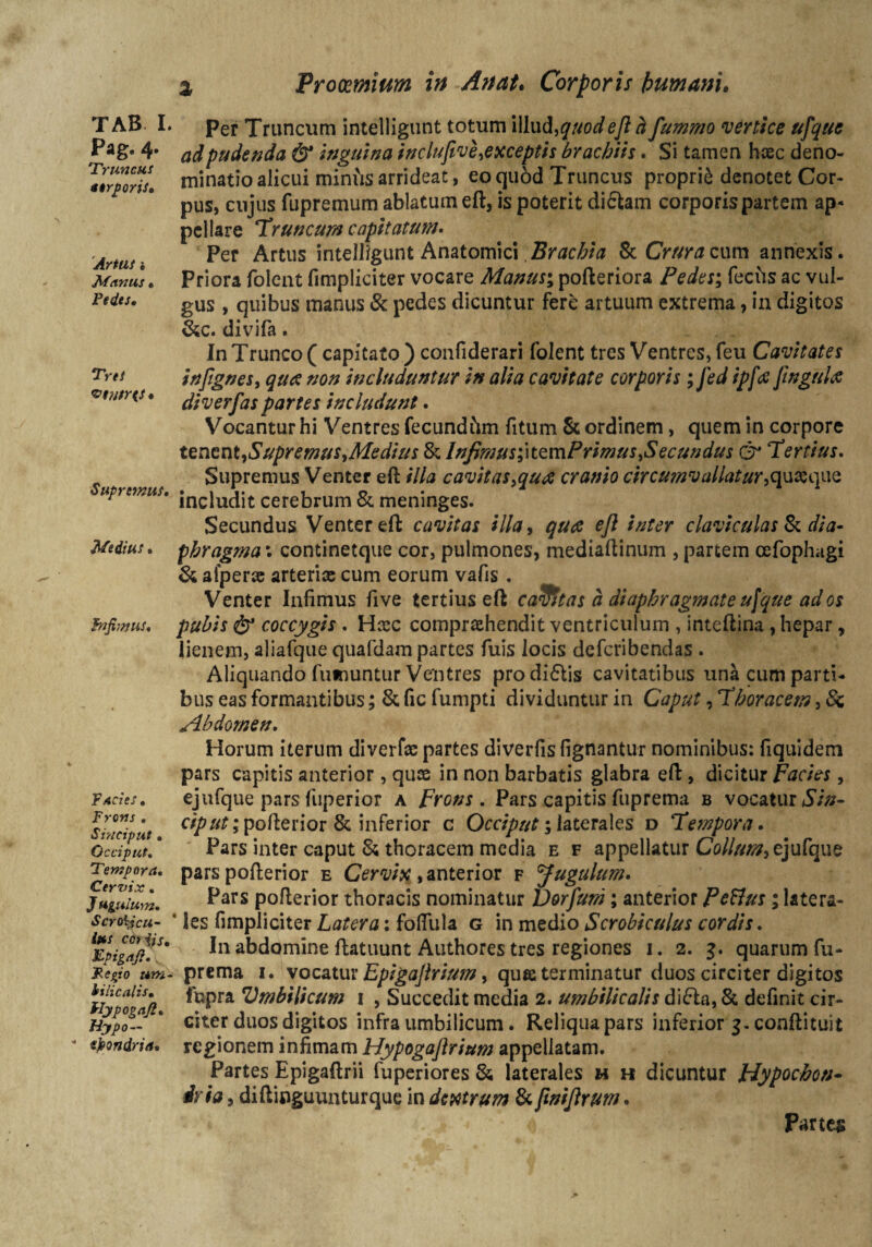 Pag. 4. 1Truncus ttrporis. Artui i Manus . Pedes, Tres Supremus, Medius . Infimus, Facies, Frons . Sinciput, Occiput. Tempora, Cervix, J figulum, Scrotycu- l*s eo ijs, Epigafi. Fegio um¬ bilicalis, llypogaft, Hypo— * tpondria. % Prooemium in Artat. Corporis humani. Per Truncum intelligunt totum illud,quod eft h fummo vertice ufque ad pudenda & inguina inclufiv e ^exceptis brachiis, Si tamen haec deno¬ minatio alicui minus arrideat, eo quod Truncus proprii denotet Cor¬ pus, cujus fupremum ablatum eft, is poterit di&am corporis partem ap¬ pellare Truncum capitatum. Per Artus intelligunt Anatomici Brachia & Crura cum annexis. Priora folent (impliciter vocare Manus\ pofteriora Pedes; feciis ac vul¬ gus , quibus manus & pedes dicuntur fere artuum extrema, in digitos &c. divifa. In Trunco ( capitato ) confiderari folent tres Ventres, feu Cavitates infignes, qua non includuntur in alia cavitate corporis ; fed ip[<x fingultf diverfas partes includunt, Vocantur hi Ventres fecundfim fitum & ordinem, quem in corpore tenontySupremuSyMedius & Infimus;\tzmPrimus>Secundus & ‘Tertius. Supremus Venter eft illa cavitas>qu<£ cranio circu?nvallat/w,quaeque includit cerebrum & meninges. Secundus Venter eft; cavitas illa> qu<fi eft inter claviculas & dia¬ phragma ; continetque cor, pulmones, mediaftinum , partem cefophagi & afpere arterice cum eorum vafis . Venter Infimus five tertius eft casfltas a diaphragmate ufque ad os pubis & coccygis , Hcec comprehendit ventriculum , inteftina , hepar, lienem, aliafque quafdam partes fuis Jocis defcribendas . Aliquando fumuntur Ventres prodi£Vis cavitatibus una cum parti¬ bus eas formantibus; & fic fumpti dividuntur in Caput, Thoracem, 8c Abdomen, Horum iterum diverfe partes diverfis lignantur nominibus: fiquidem pars capitis anterior, que in non barbatis glabra eft, dicitur Facies, ejufque pars fuperior a Frons. Pars capitis fuprema b vocatur <57/;- ciput; pofterior & inferior c Occiput; laterales d Tempora. Pars inter caput & thoracem media e f appellatur Collum^ ejufque pars pofterior e Cervix , anterior f Jugulum. Pars pofterior thoracis nominatur Dorfum; anterior Petfus; latera¬ les fimpliciter Latera: foftula g in medio Scrobiculus cordis. In abdomine ftatuunt Authores tres regiones 1. 2. 3. quarum fu¬ prema 1. vocatur Epigajlrium, que terminatur duos circiter digitos fupra Vmbilicum 1 , Succedit media 2. umbilicalis di&a, & definit cir¬ citer duos digitos infra umbilicum. Reliqua pars inferior 3. conftituit regionem infimam Hypogafirium appellatam. Partes Epigaftrii fuperiores & laterales h h dicuntur Jrlypochon- ivi a, diftinguunturquc in dextrum & fwijtrum. Partes