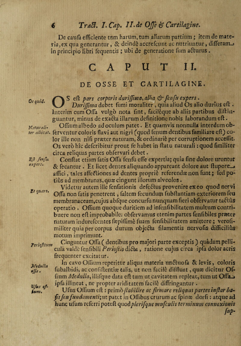 De caufa efficiente tnm harum, tum aliarum partium ; item de mate* ria,ex qua generantur, & deinde accrefcunt ac nutriuntur, differam.* in principio libri fequentis ; ubi de generatione fum a&urus. CAPUT II. DE OSSE ET CARTILAGINE. Ef ftvfu expers» Zt quare» Os aid S Pars corporis durijfima, alha &fenfu expers» s qut » DuriJJima debet fumi moraliter , quia aliud Os alio durius efl . lnterim cum Offia vulgo nota fint, facil&que ab aliis partibus diftin- guantur, minus de exa£ta illarum definitione nobis laborandum ed. Naturali- Offium albedo ad oculum patet. Et quamvis nonnulla interdum ob- ter albicat» ferventur coloris flavi aut nigri (quod fenum dentibus familiare ed) co¬ lor ille non nifi praeter naturam, & ordinarii per corruptionem accedit. Os verb hic defcribitur prout fe habet in datu naturali: quod fimiliter circa reliquas partes obfervari debet. Condat etiam fatis Offa fenfu efle expertia; quia fine dolore uruntur & fecantur . Et licet dentes aliquando appareant dolore aut ftupore_* affici, tales affefliones ad dentes proprii referendas non funt; fed po¬ tius ad membranas, qux cingunt illorum alveolos. Videtur autem ille fenfationis dcfe&us provenire ex eo quod nervi Ofla non fatis penetrent, faltem fecundum fubdantiam exteriorem feu membranaceam,cujus abfque concurfu nunquam fieri obfervatur ta&iis operatio . Offium quoque duritiem ad infenfibilitatem multum contri¬ buere non ed improbabile: obfervamus etenim partes fenfibiles praater naturam indurefeentes depiffim£ fuam fenfibilitatem amittere; verofi- militer quia per corpus durum obje&a filamentis nervofis difficilius motum imprimunt. Feriorum Cinguntur Offia ( dentibus pro majori parte exceptis ) quadam pelli¬ cula valde fenfibili Periofiio di£ta , ratione cujus circa ipfa dolor acris frequenter excitatur. In cavo Offium reperitur aliqua materia tin£hiofa & levis, coloris fubalbidi, ac confidentia talis, ut non facile diffluat, quas dicitur Of¬ fium Medulla, illifque data ed tum ut cavitatem repleat, tum ut Offiaj* ipfaillineat, ne propter ariditatem facili diffringantur. Ufus Offium ed : primbflabilire ac firmare reliquas partes inflar ba- Jisfeufundamenti;nt patet in Oflibus crurum ac fpinaa dorfi : atque ad hunc ufum referri poted quodpkrifque mufculis terminum connexionis Medulla tjfis . Vfus of¬ fium»